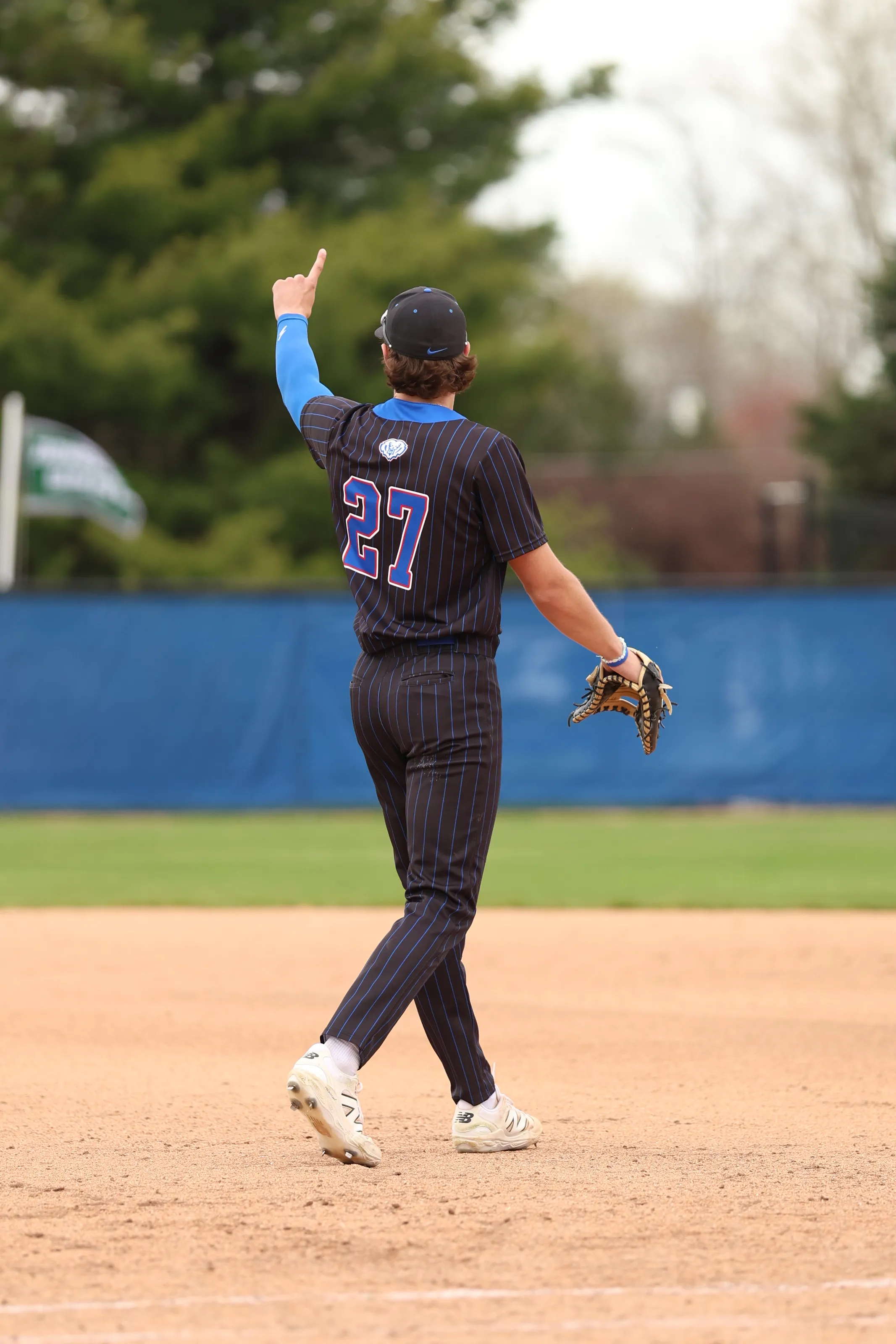 Hamilton Southeastern Baseball