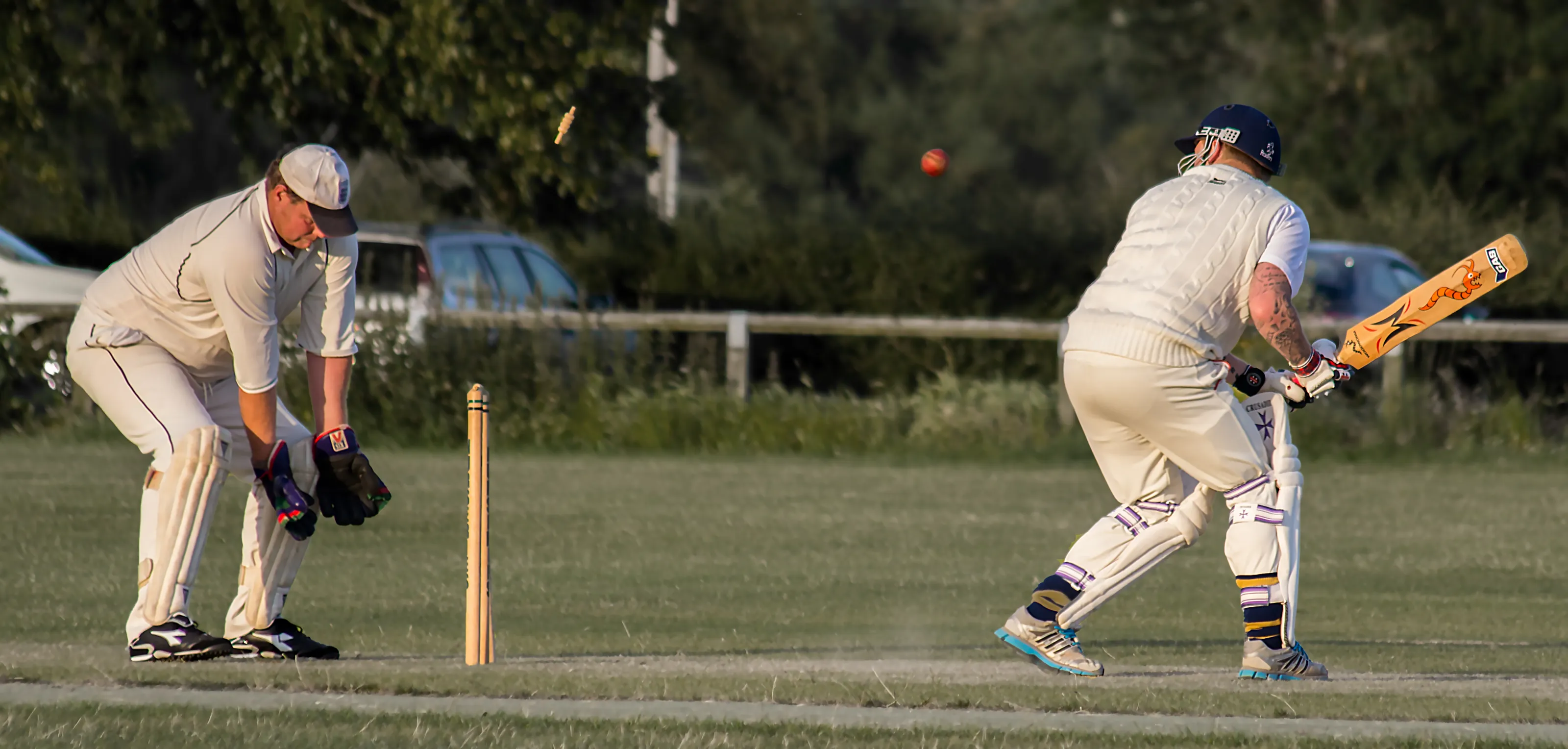 Cricket