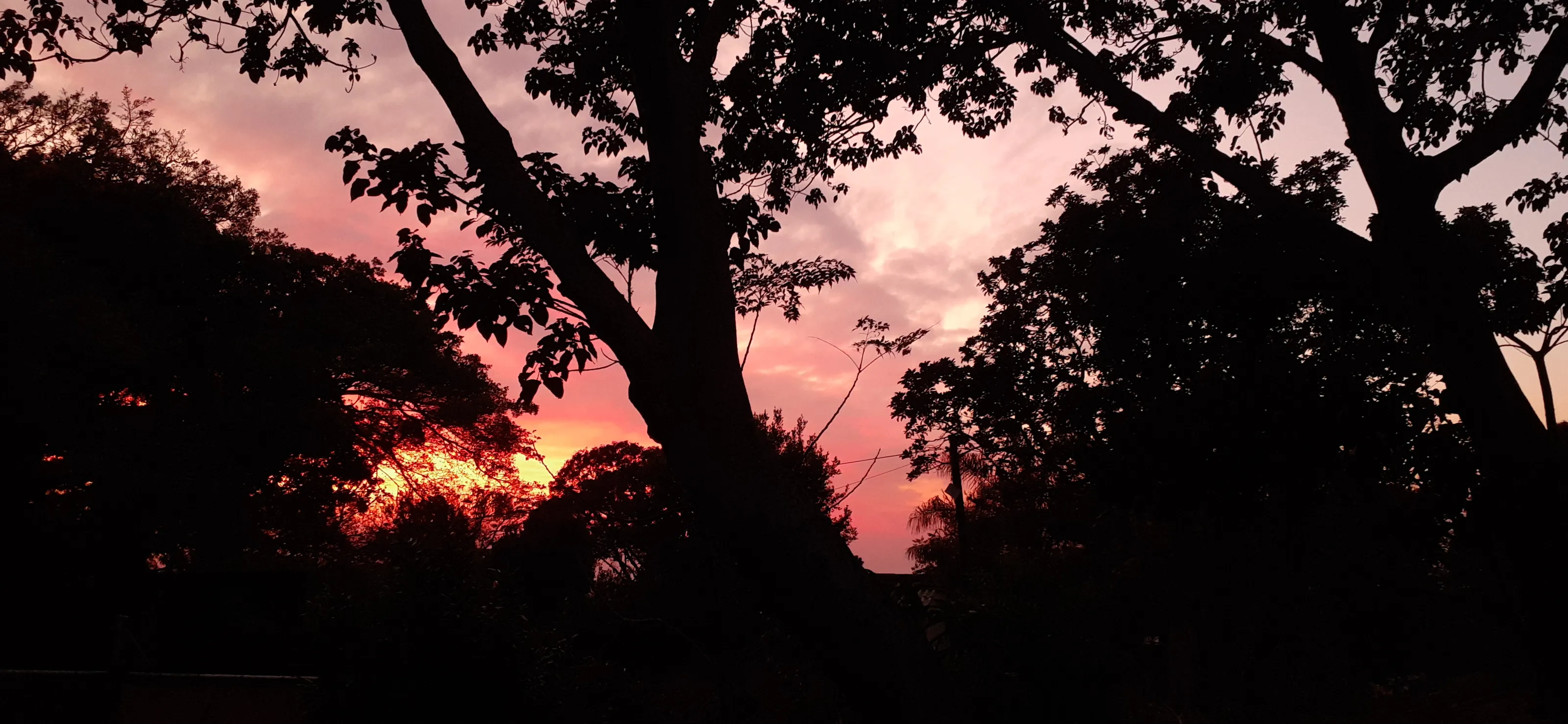 South African, Southcoast Sunrise