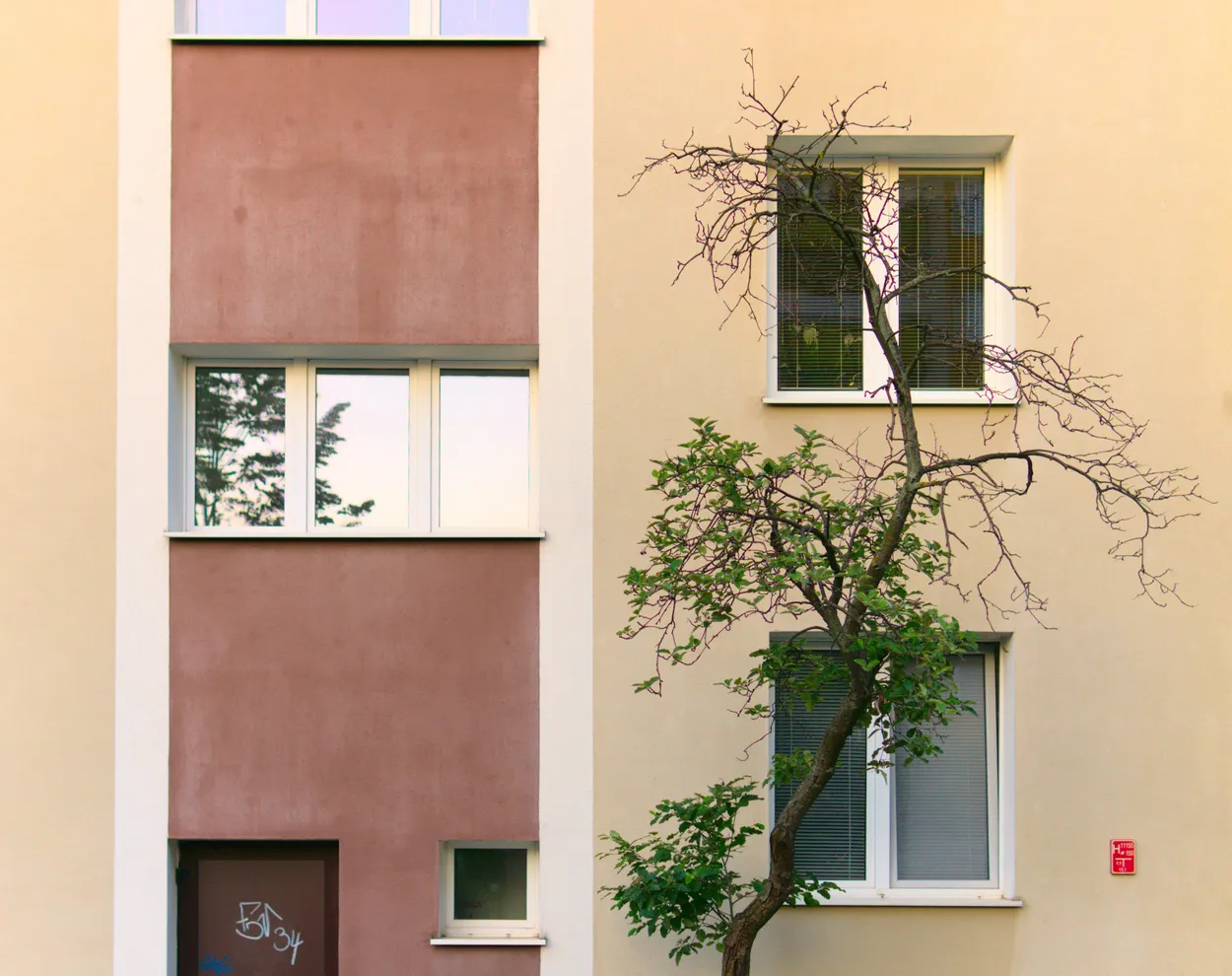 Entry 24315712