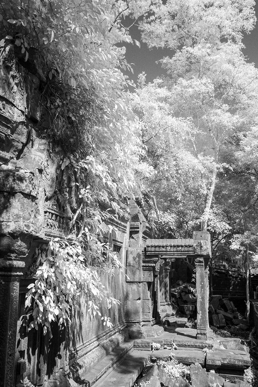 Entry 1929339