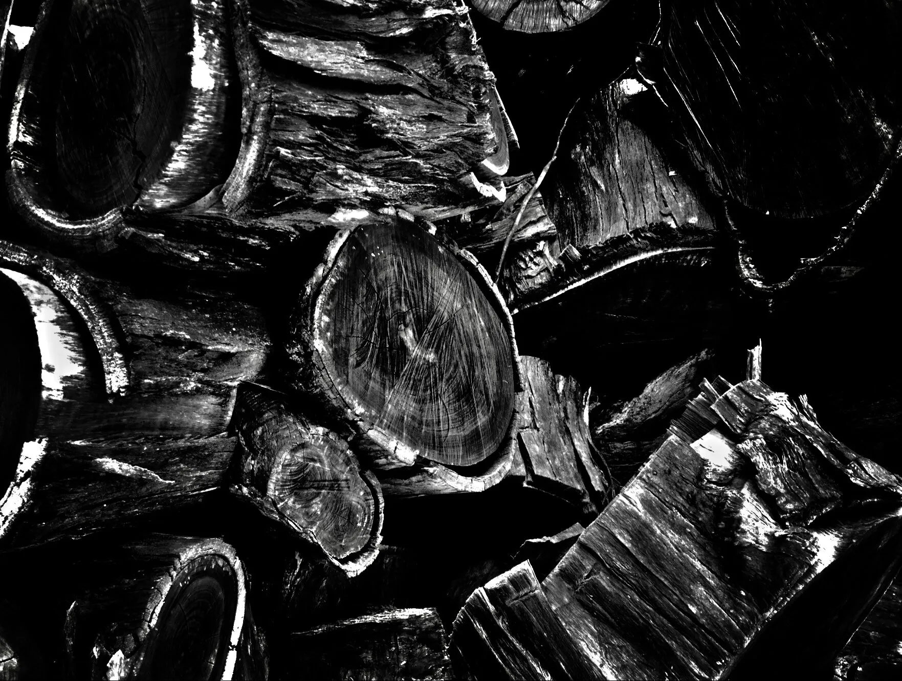 Mono Chopped Wood