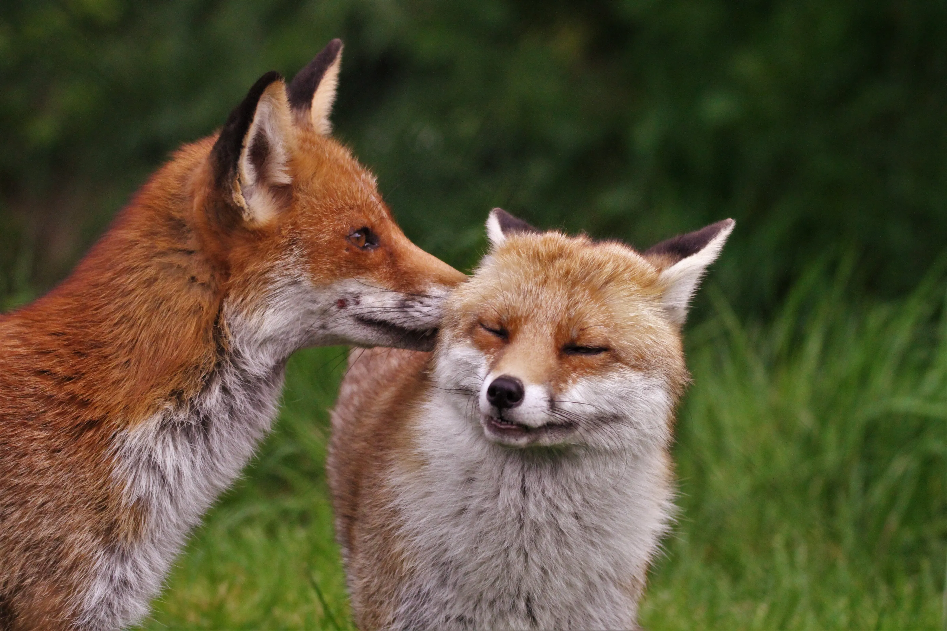 Whispering sweet nothings !
