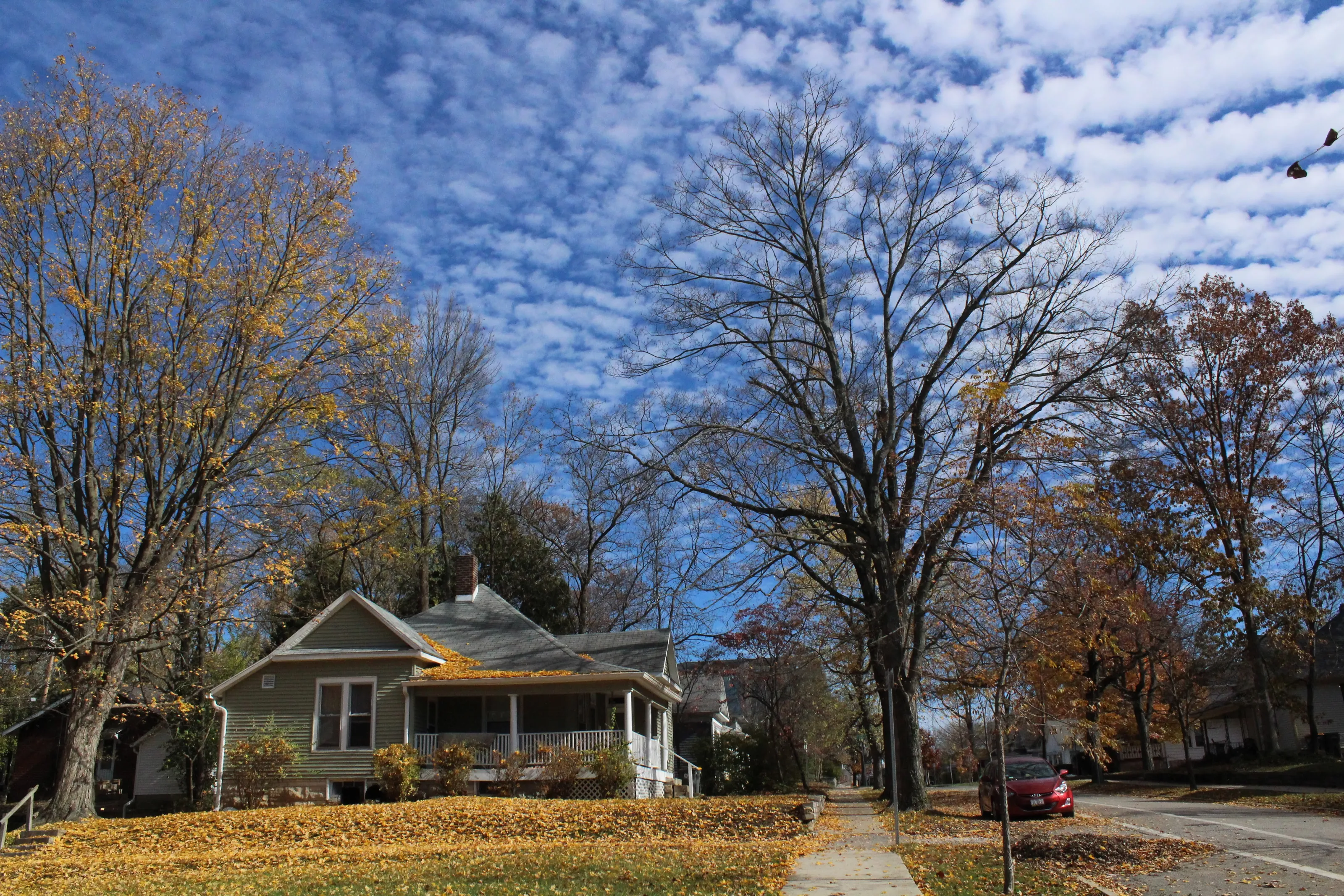 Fall Neighborhood