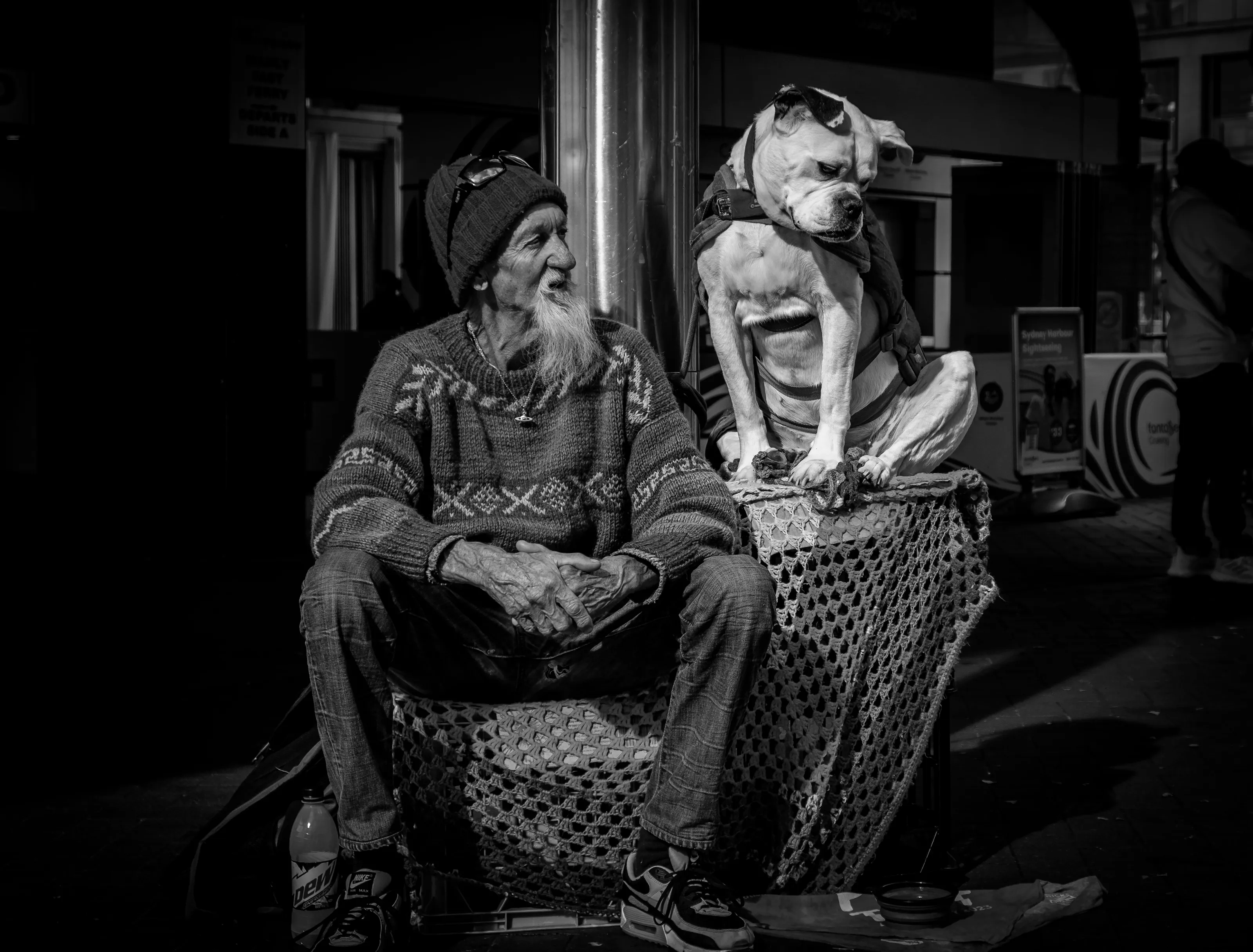 Silent Companions