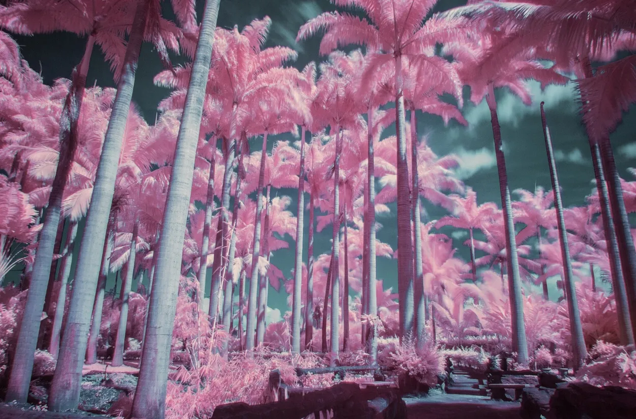 Entry 1928731