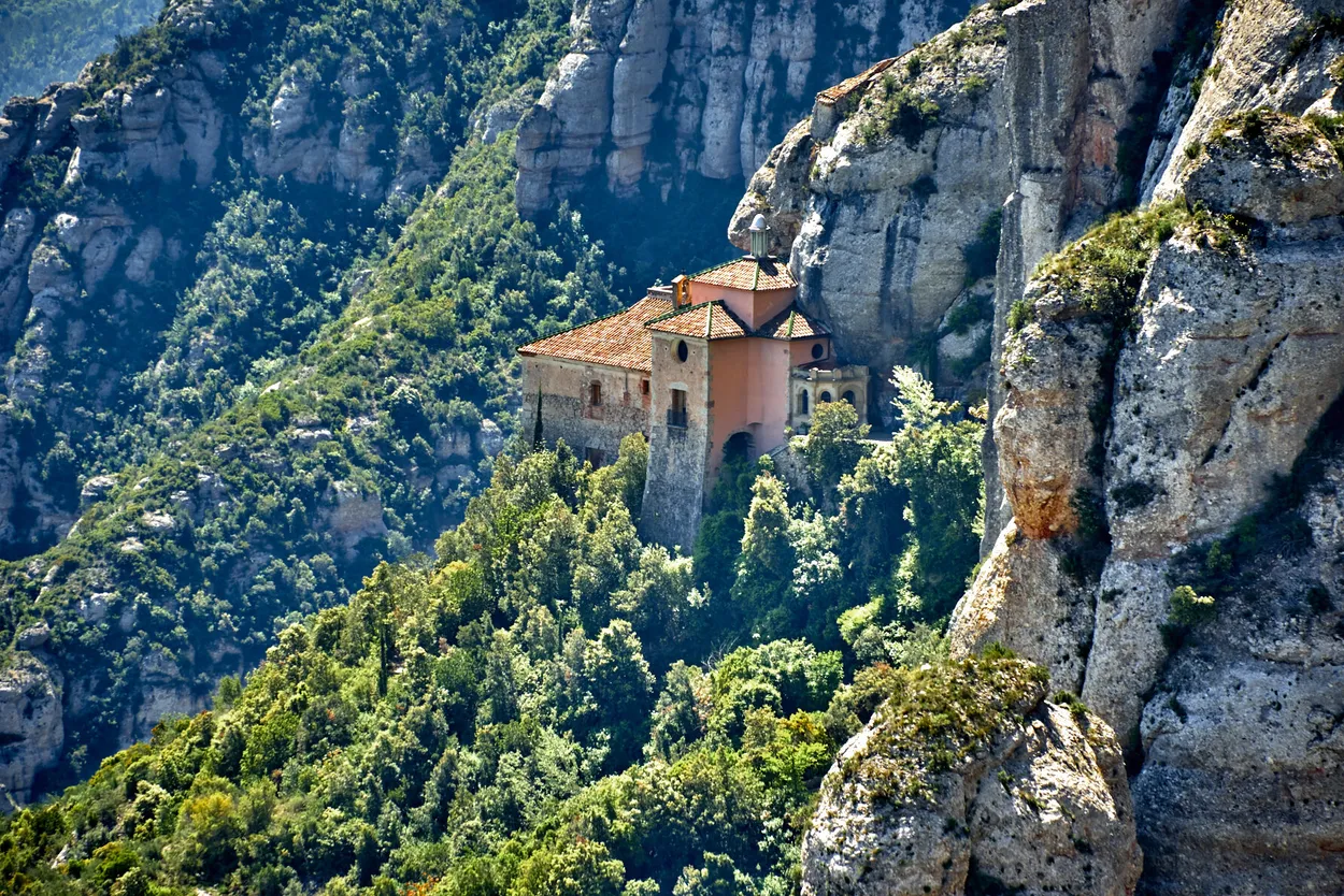 Entry 1333098