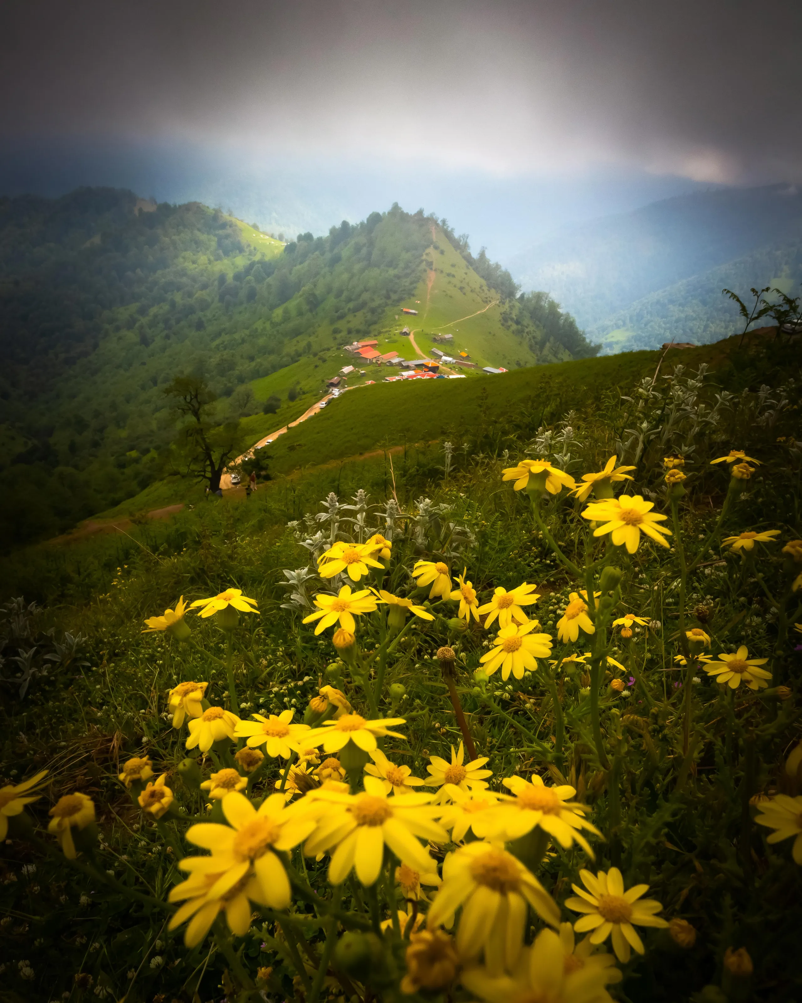 Masal Nature