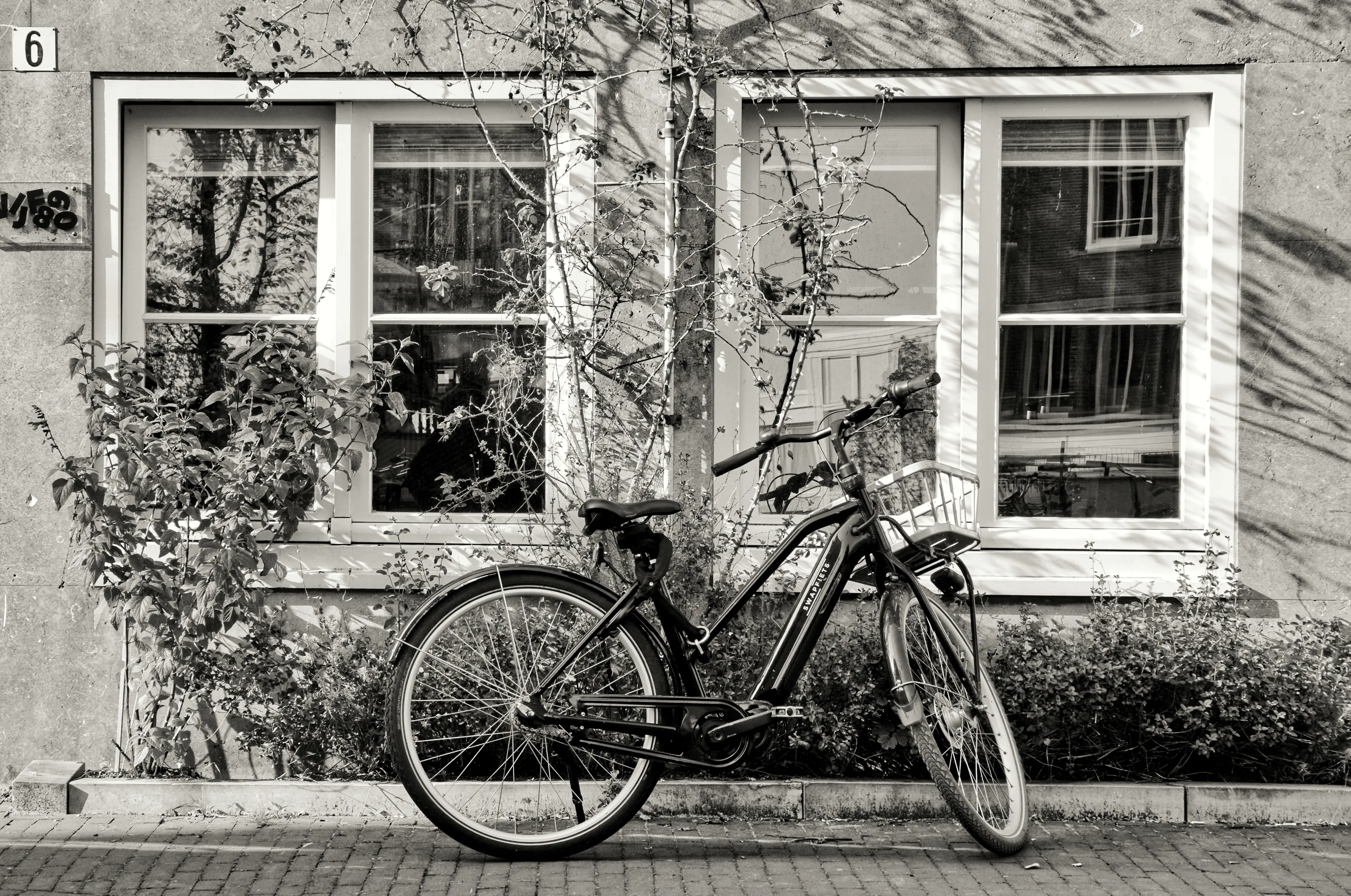 Urban Reverie