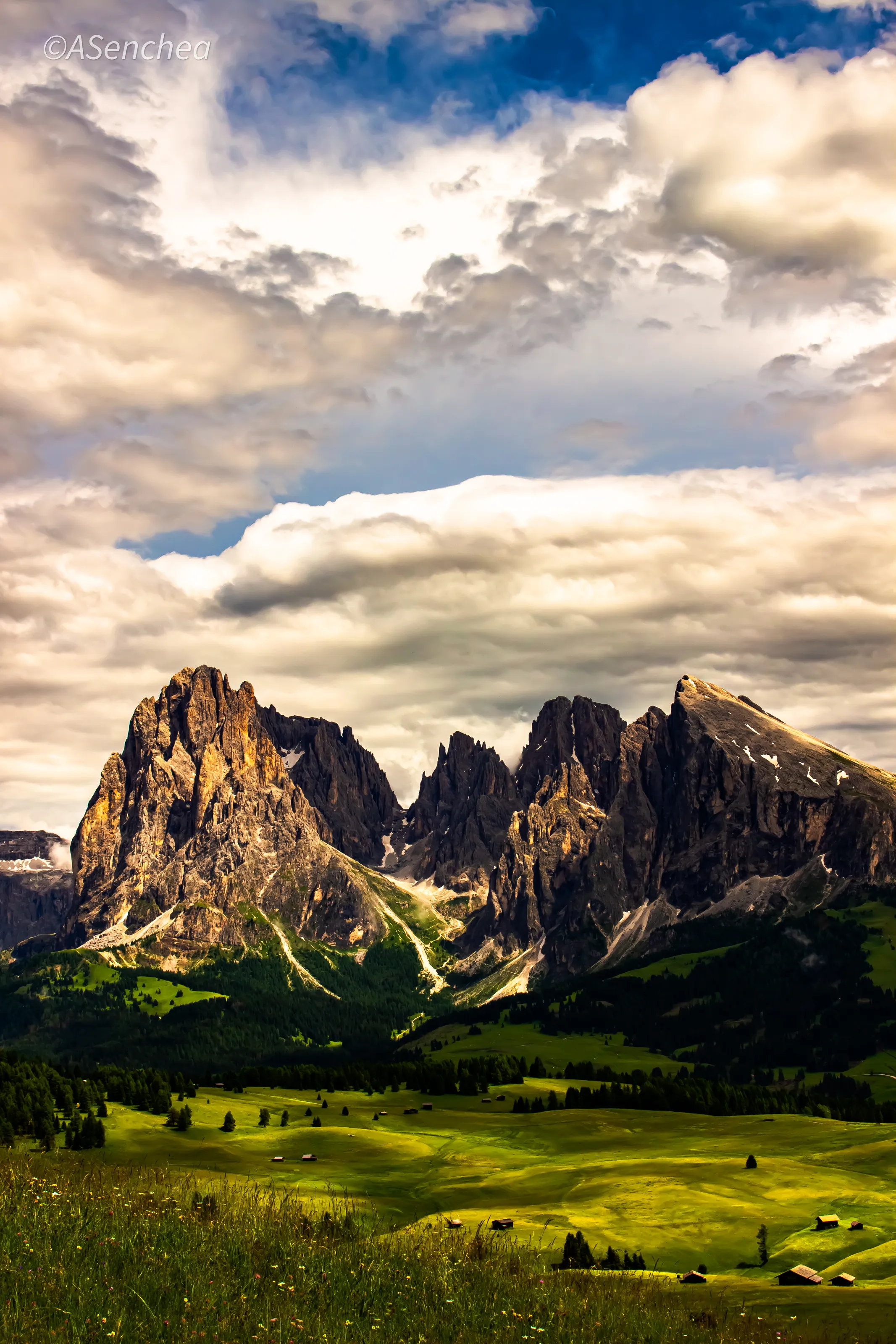 Where Mountains Dream in Gold