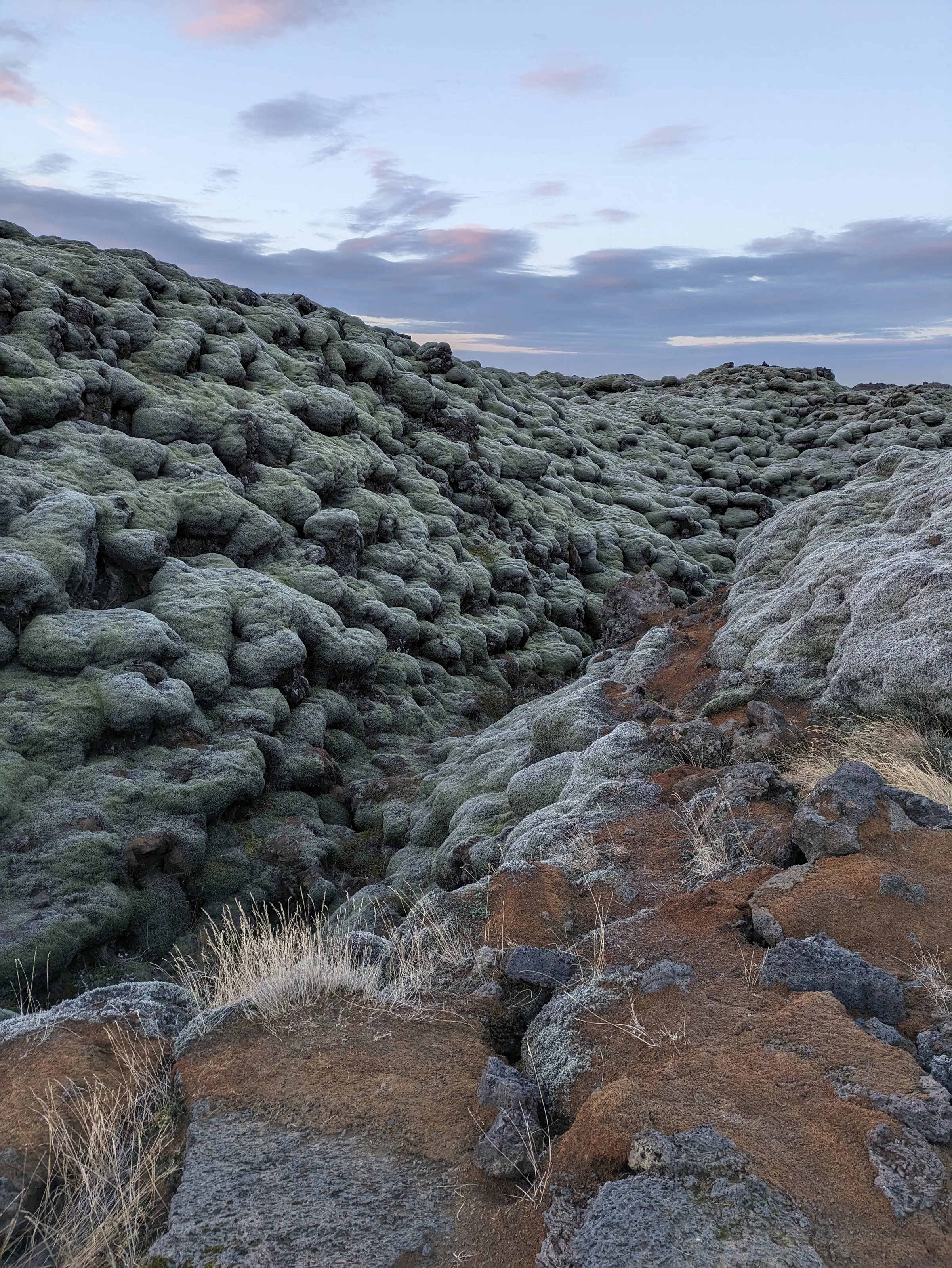 Lava fields