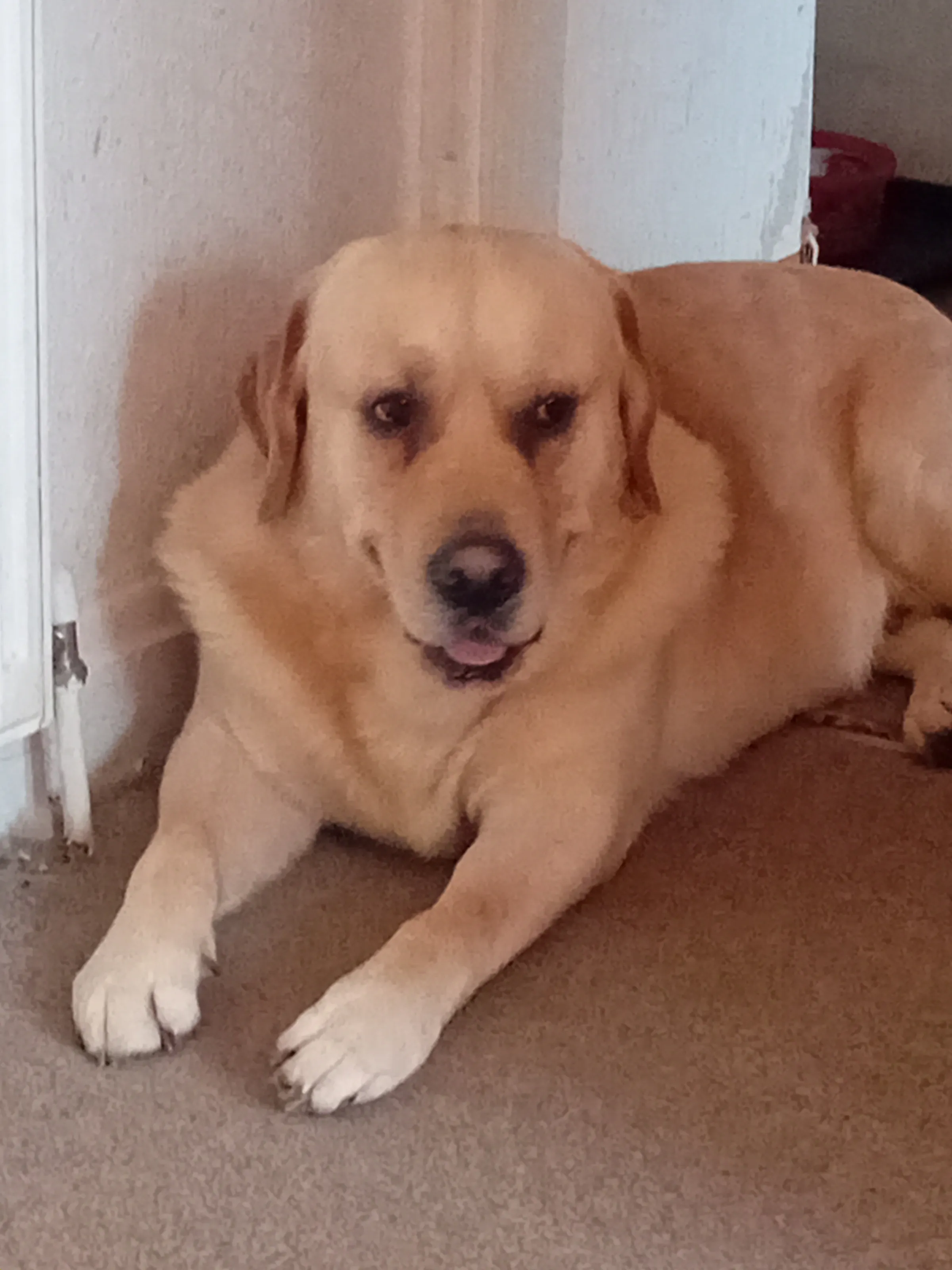 my ben