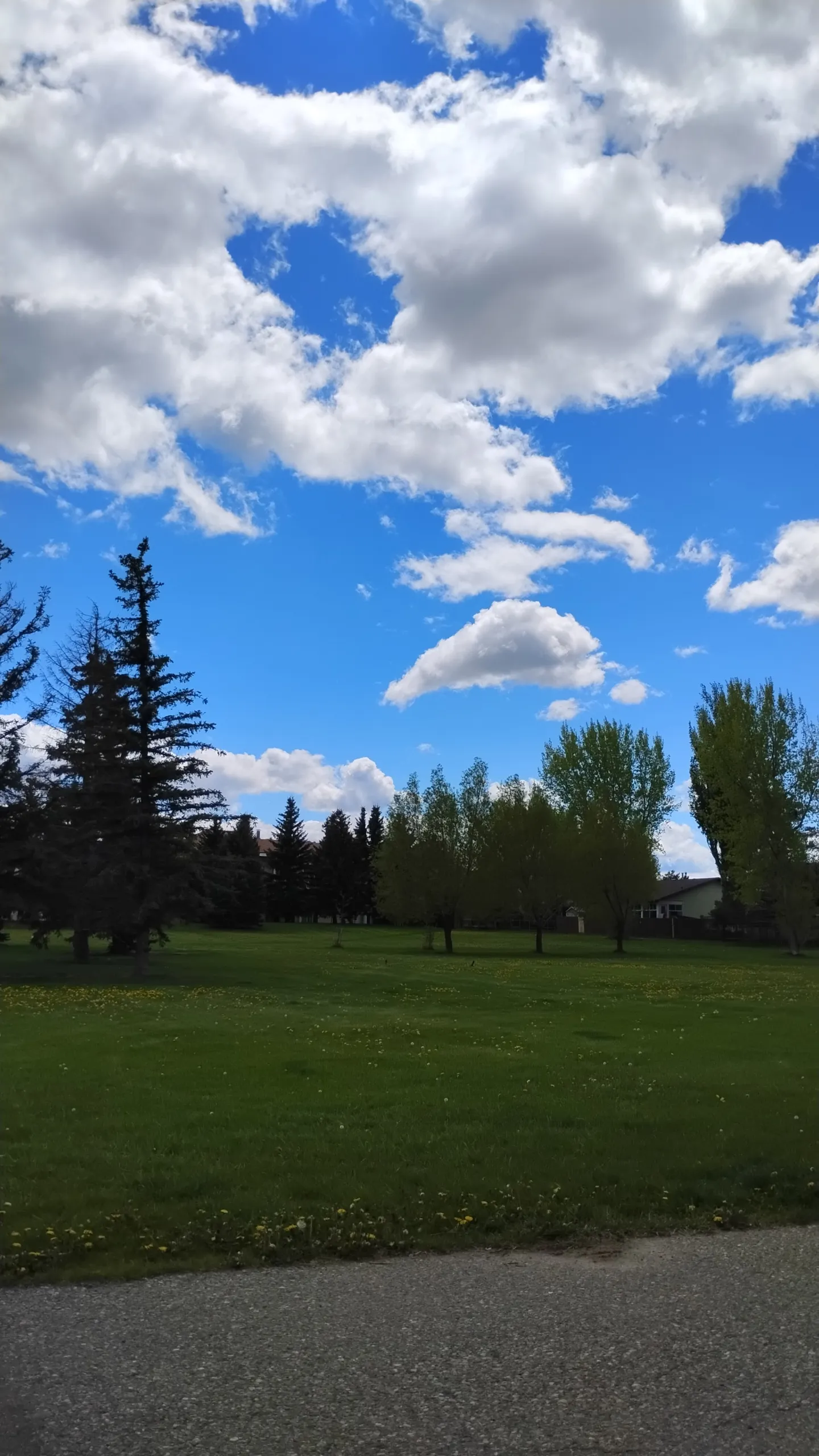 Calm days sky