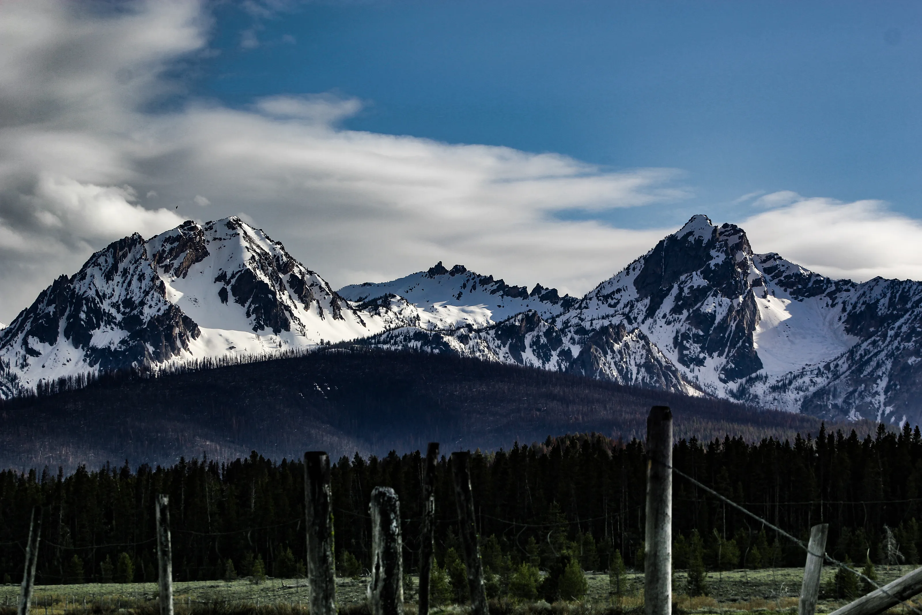 Blue Sawtooths