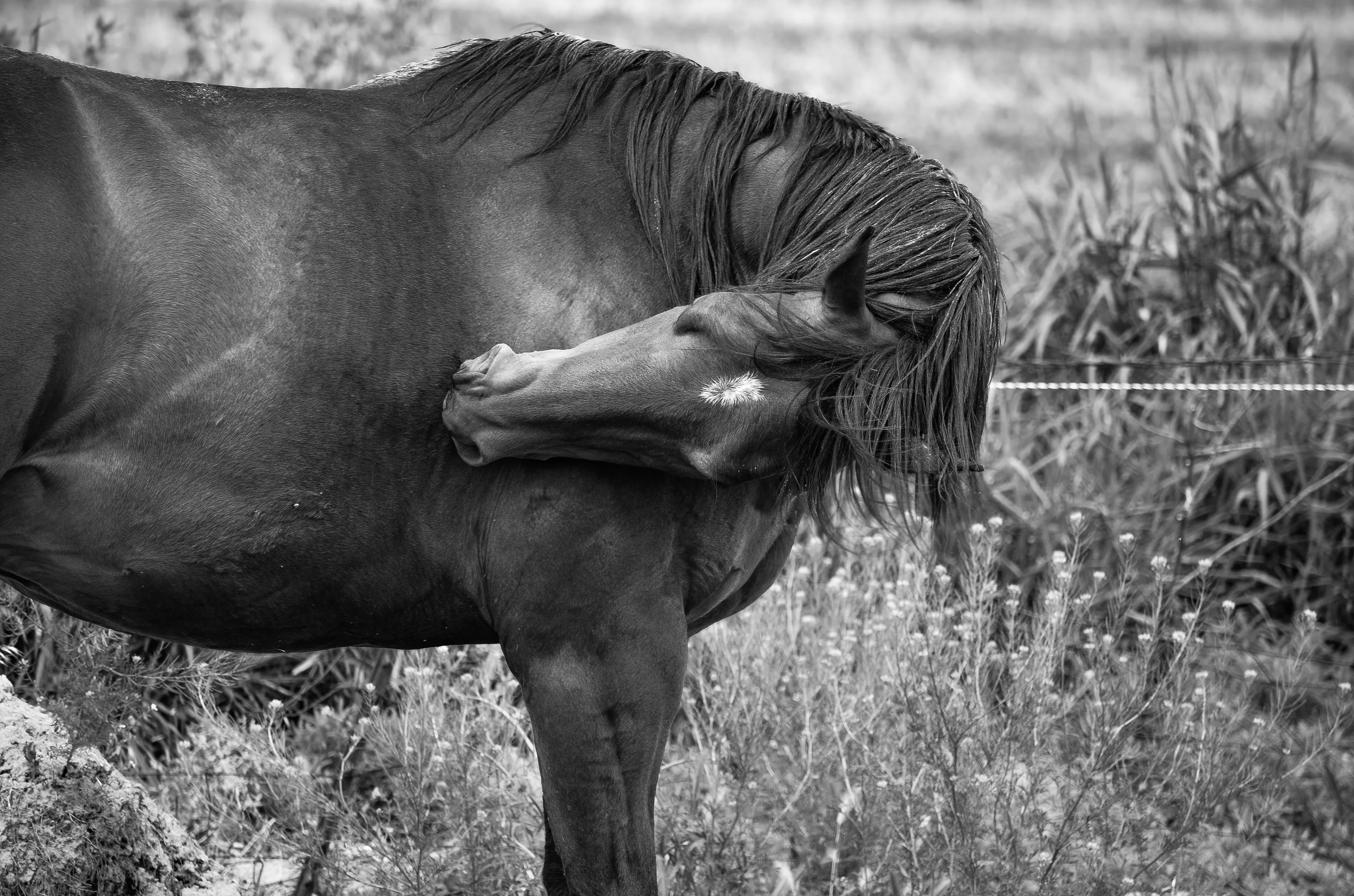 The Itch of Solitude