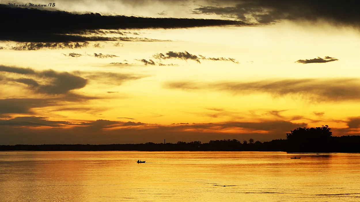 Entry 24369695
