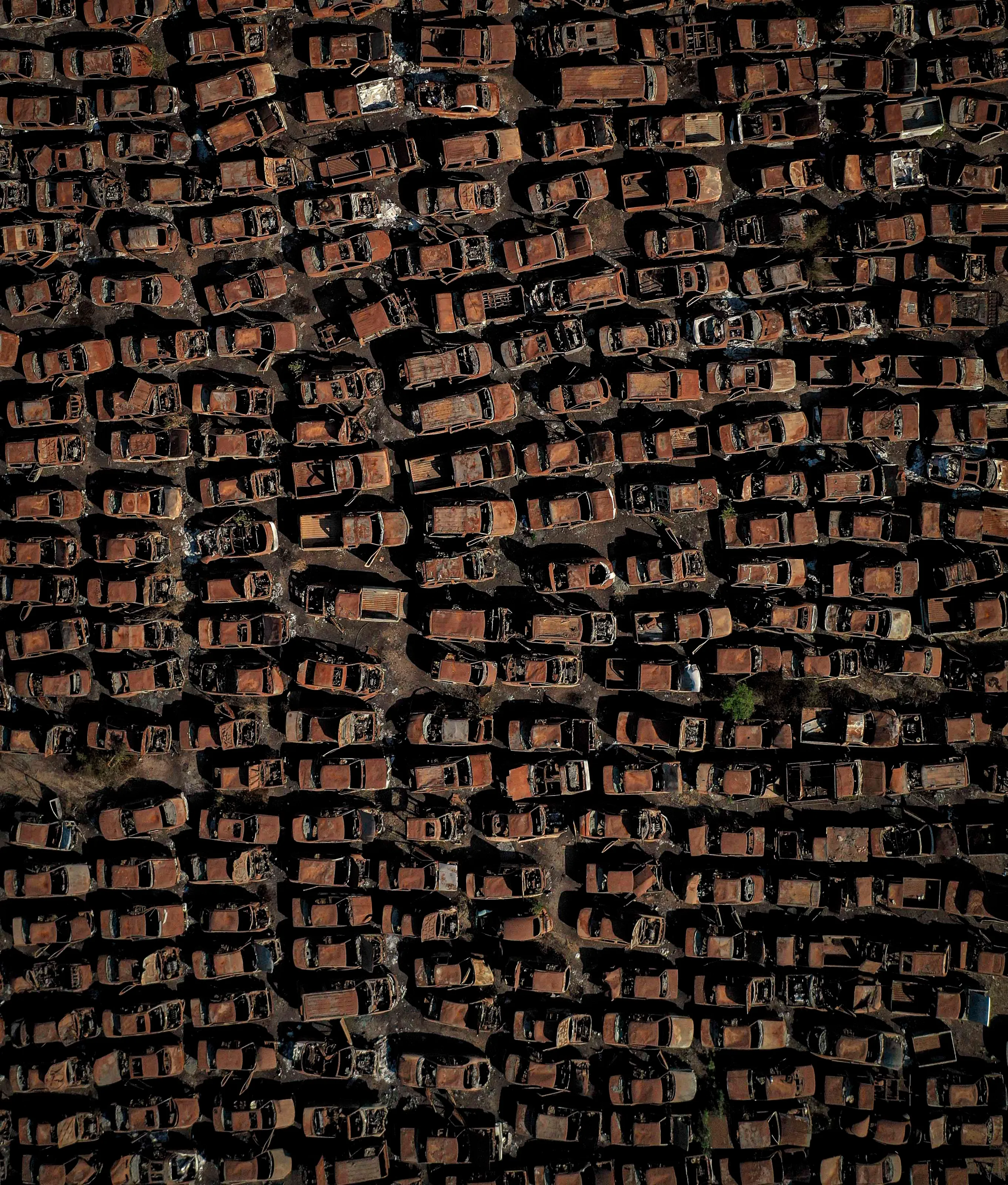 The cemetery of terror