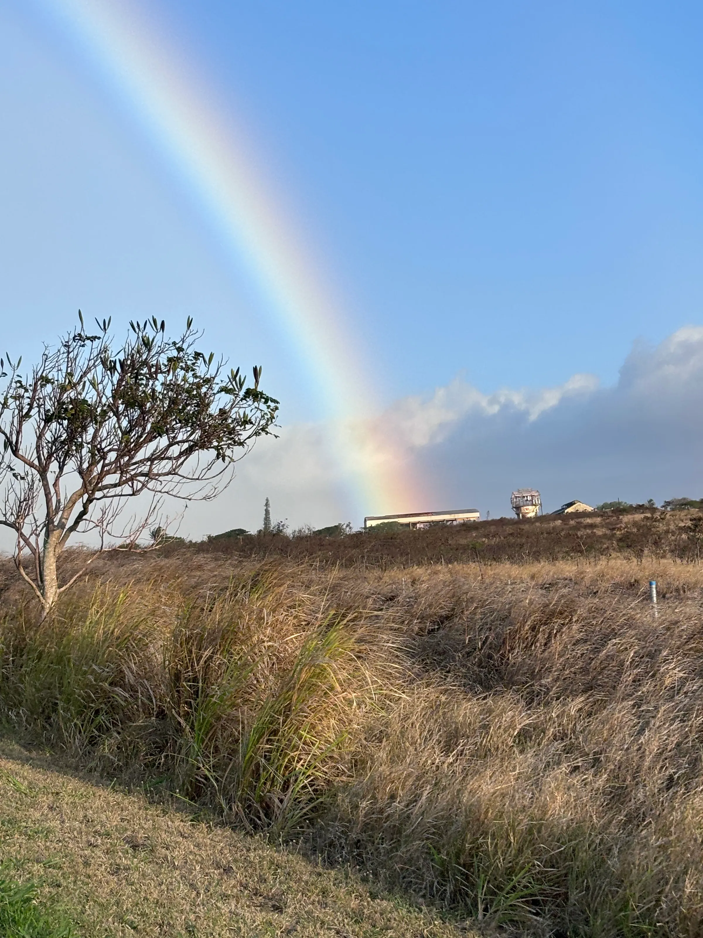 Below a rainbow