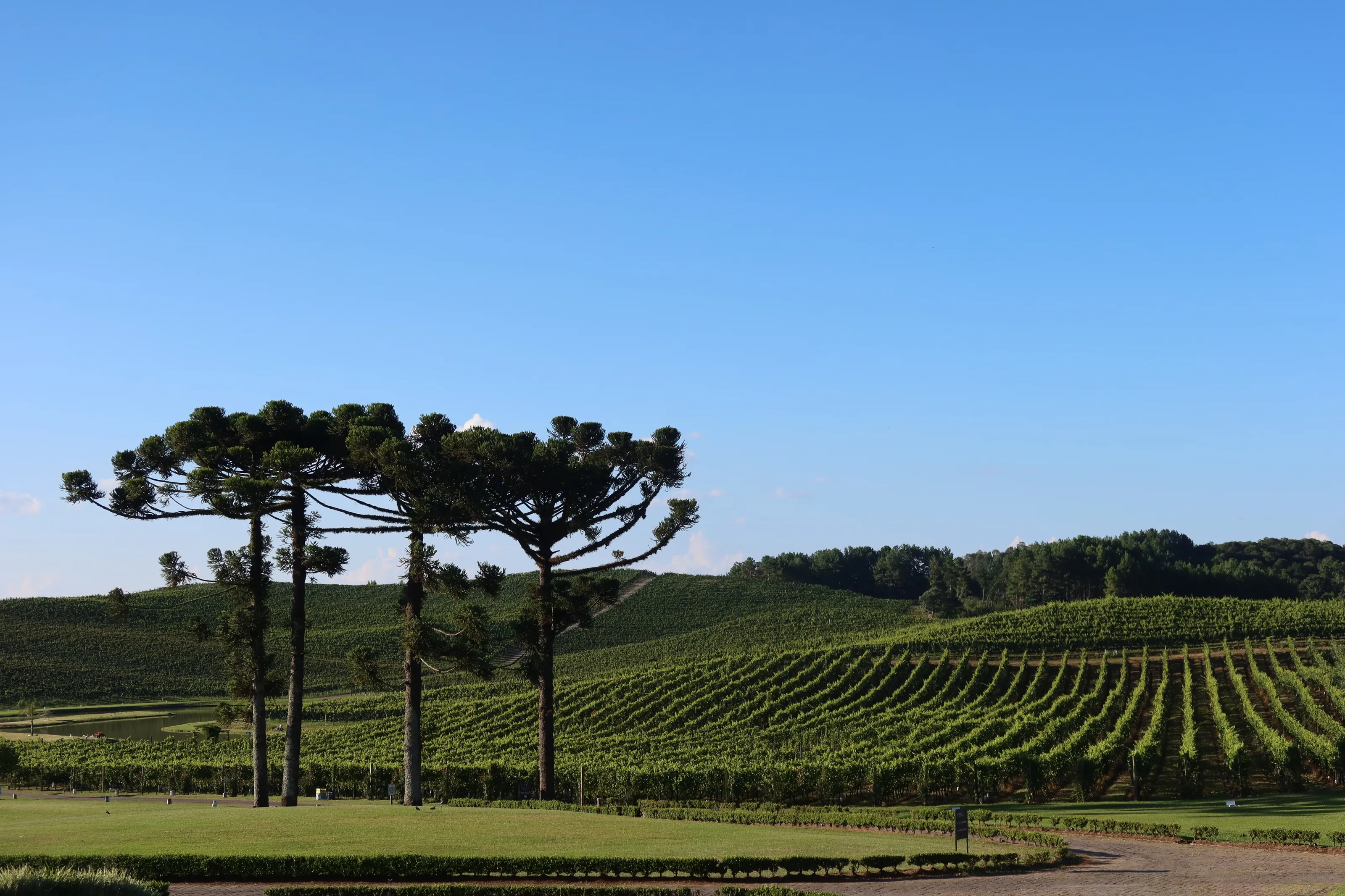 Wine valley