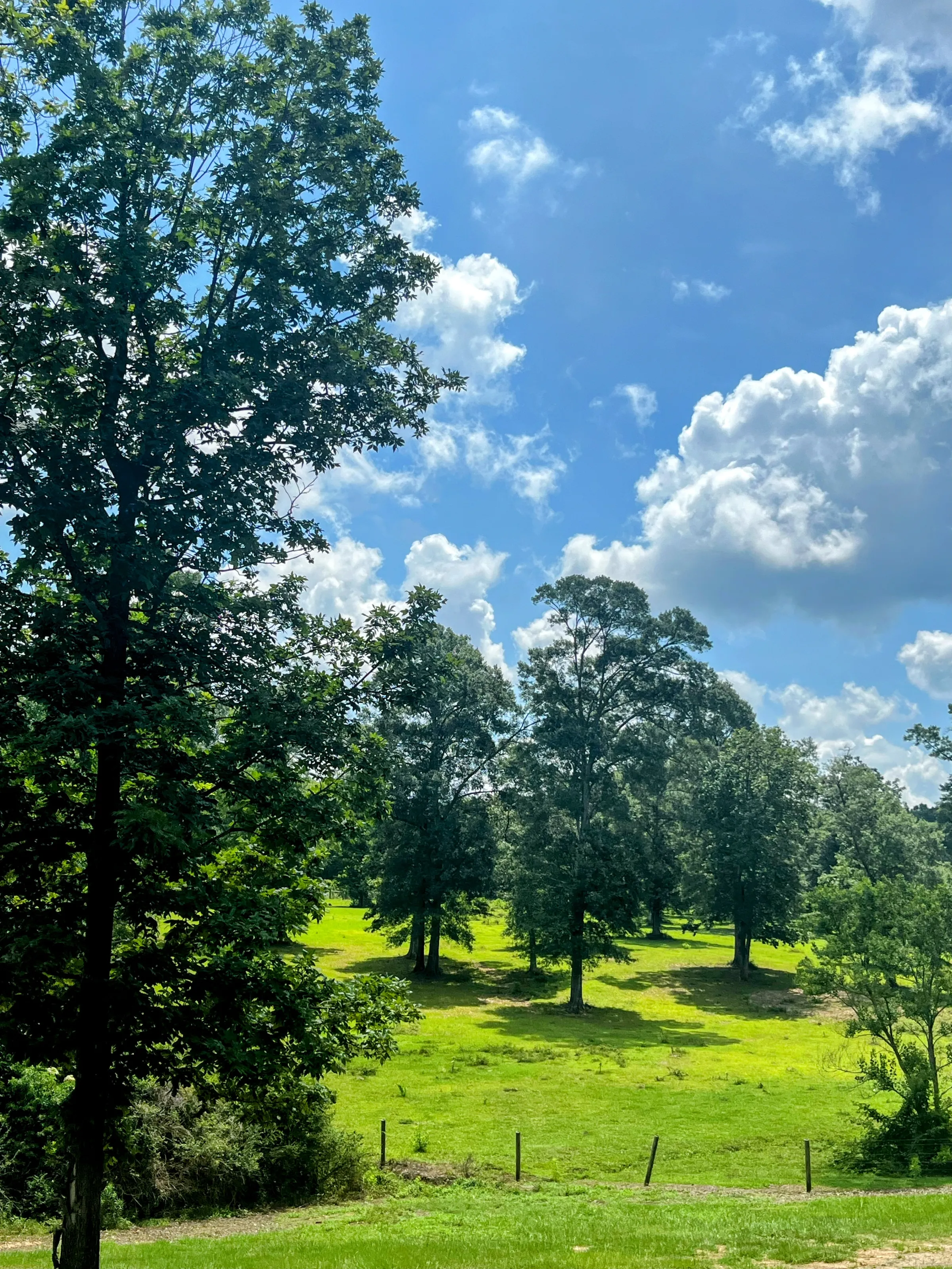 Morning View