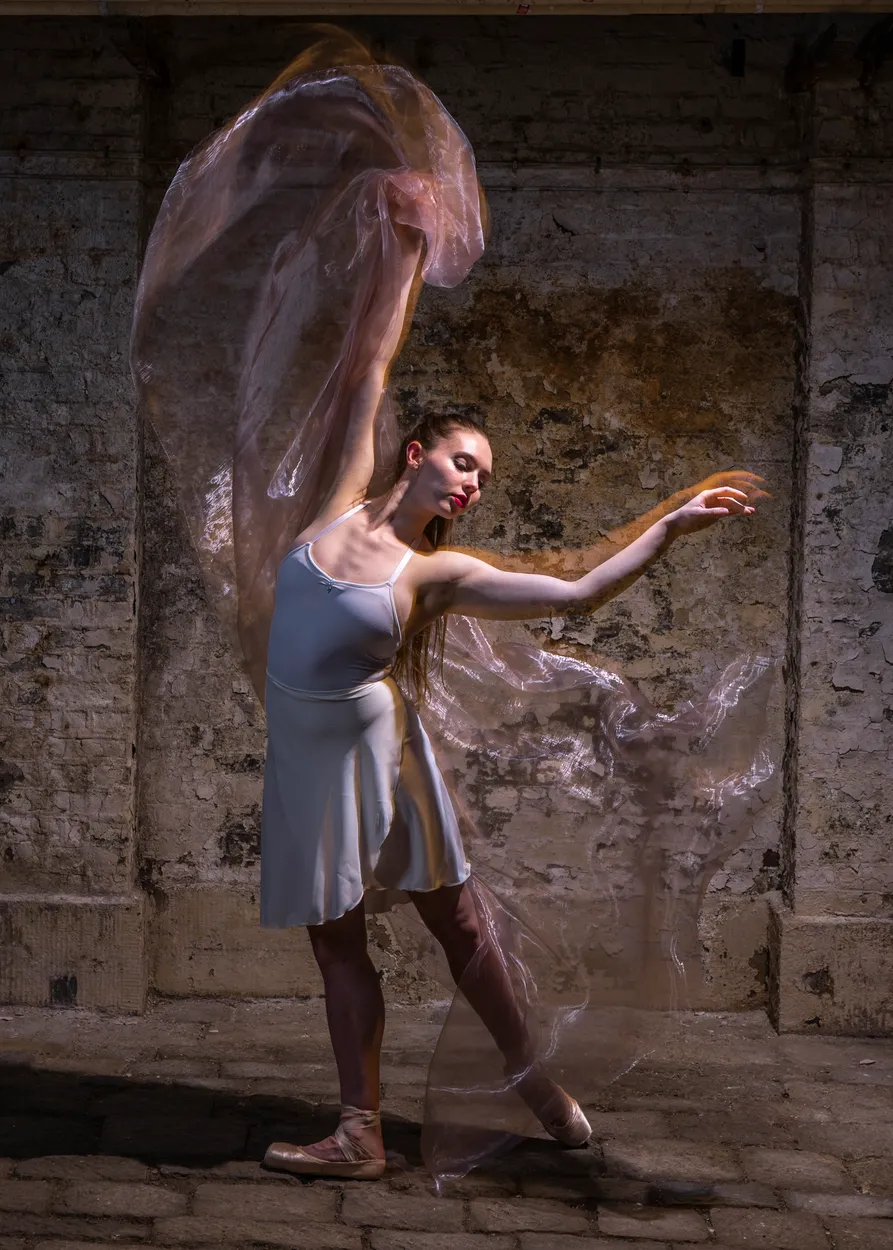 Entry 24387194