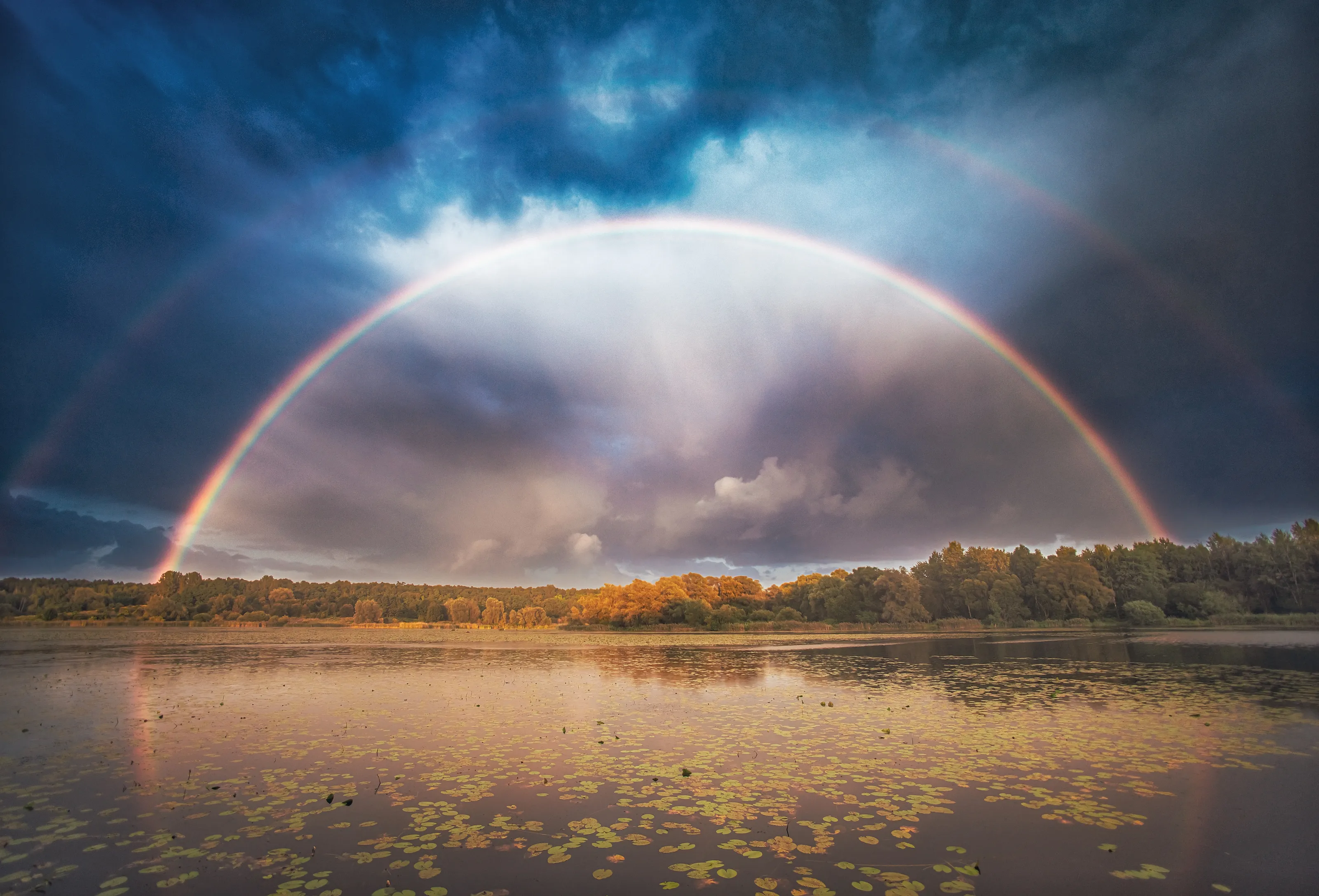 Rainbow