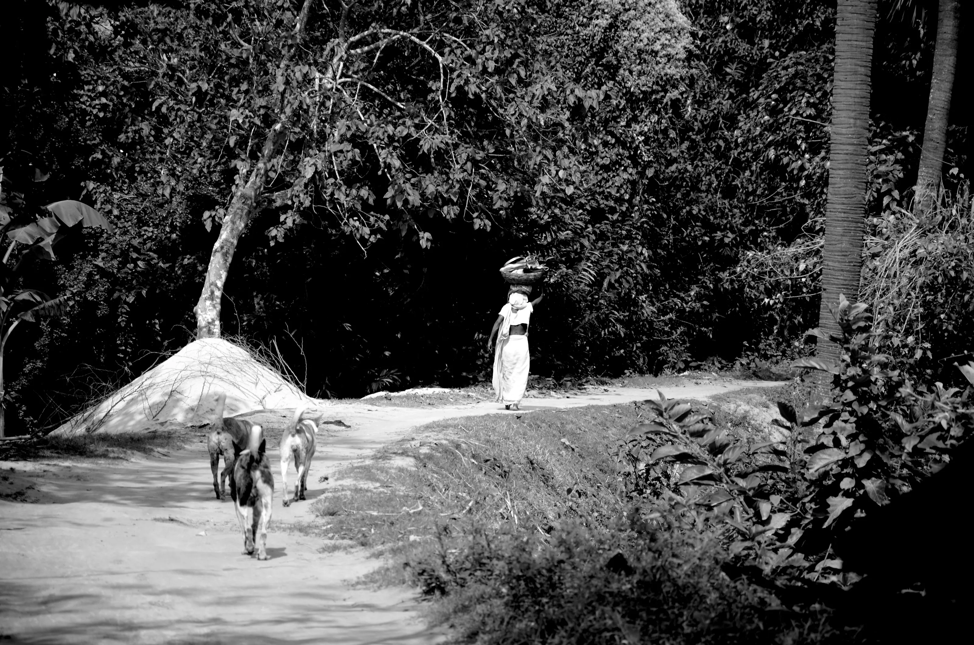 Old village woman on the way