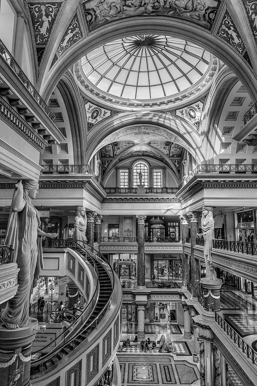 Entry 1336516