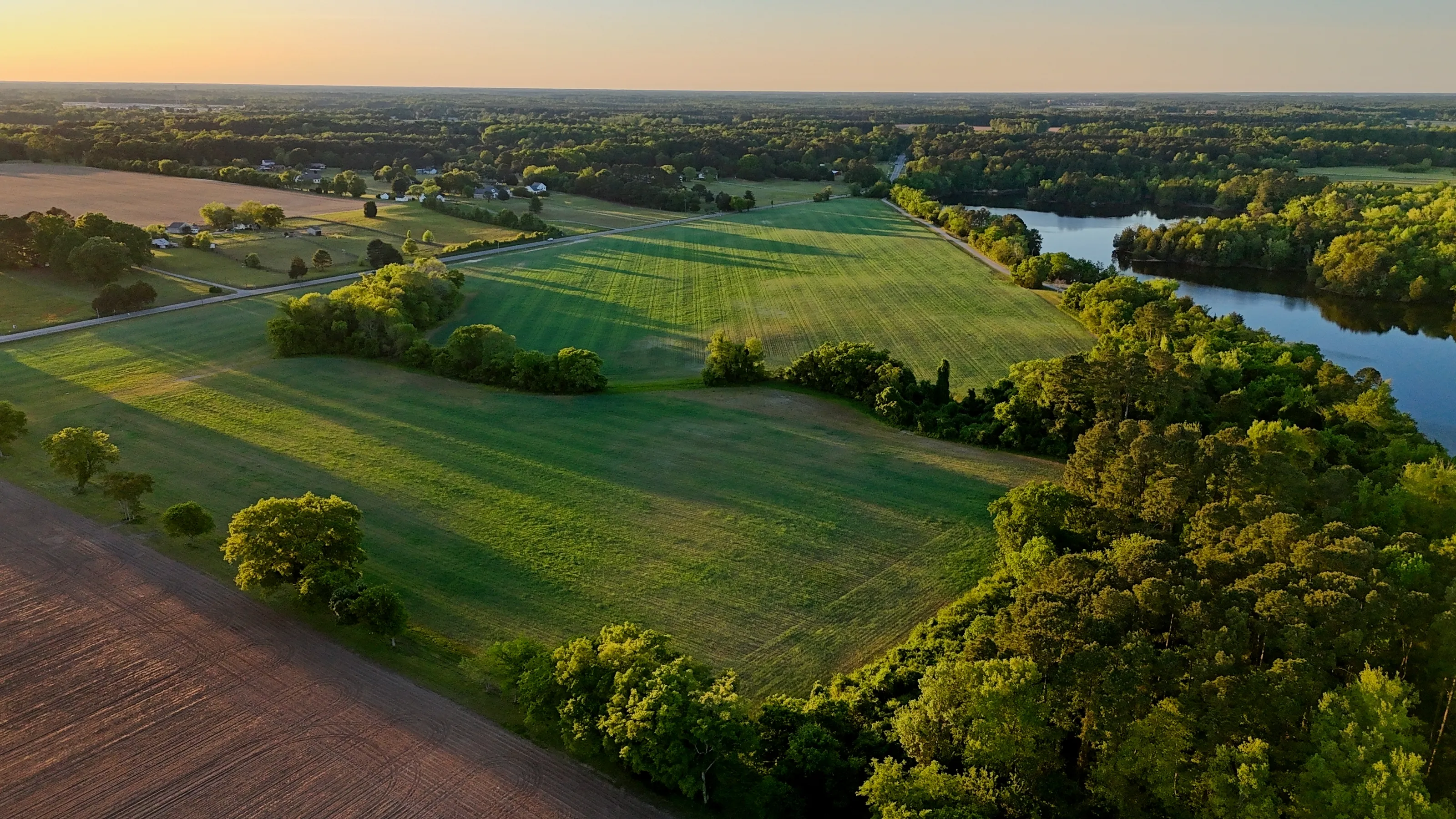 golden hour fields
