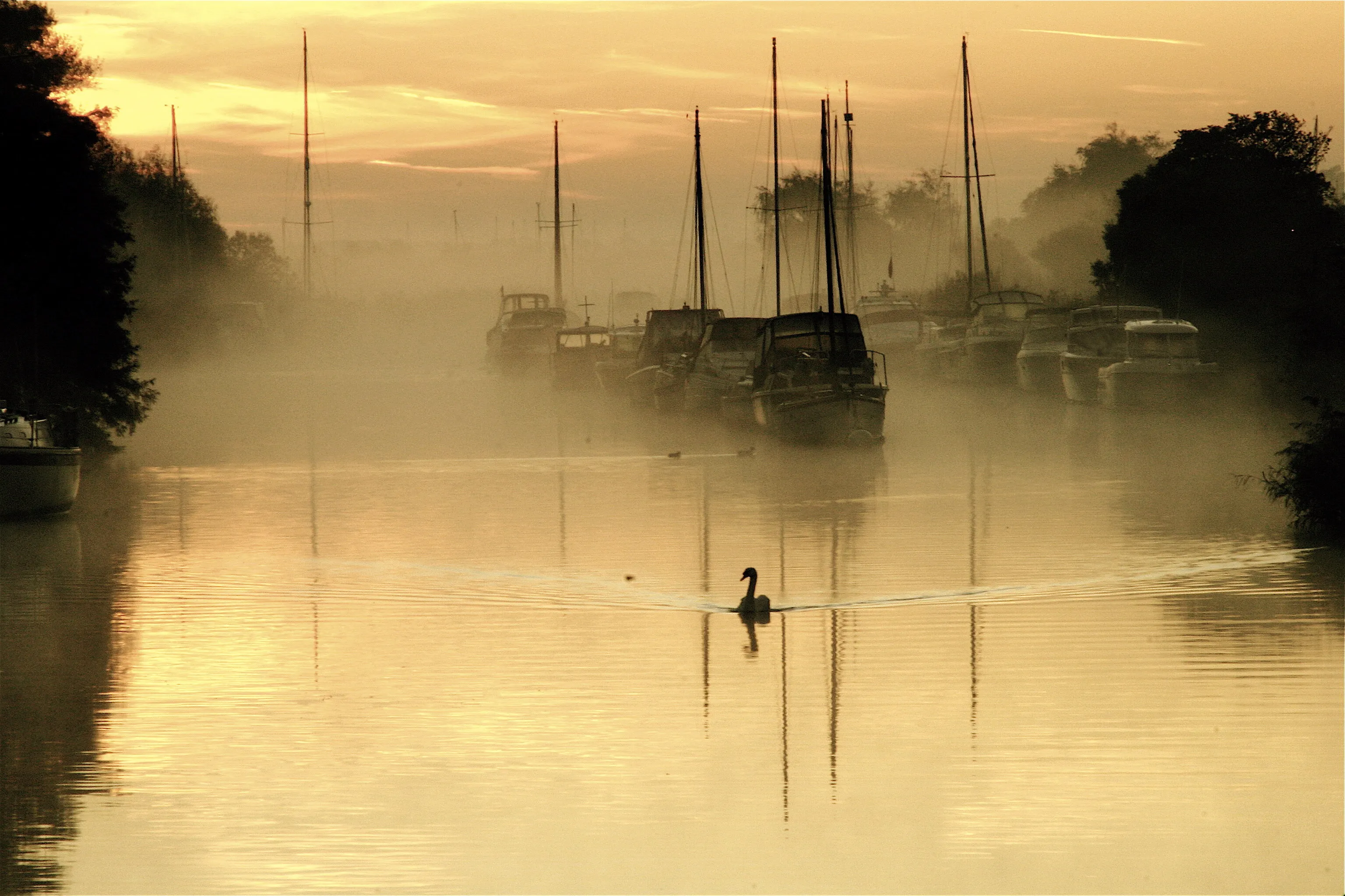Sunrise over the River Frome