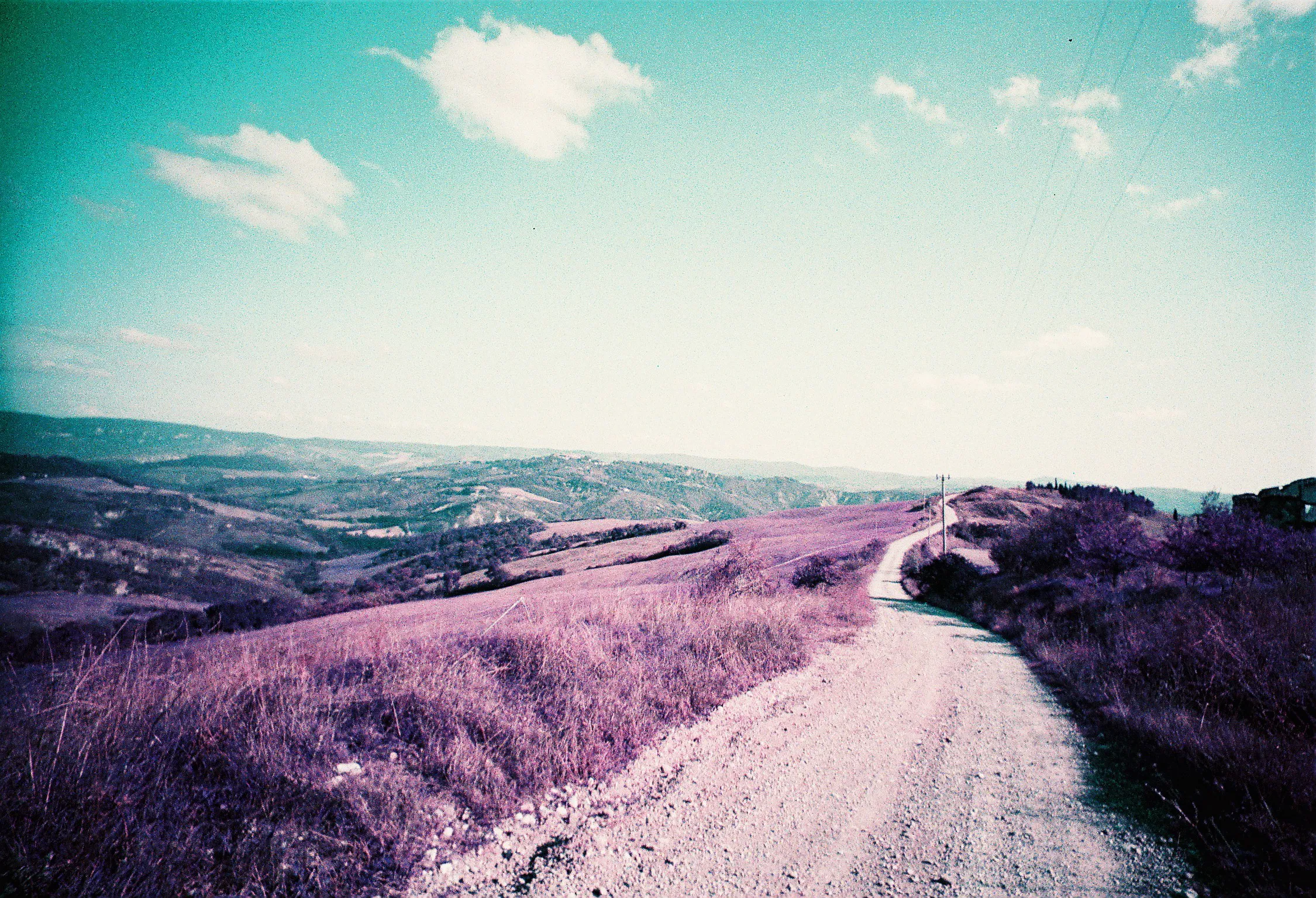 Pedaling Through Tuscan Gravel