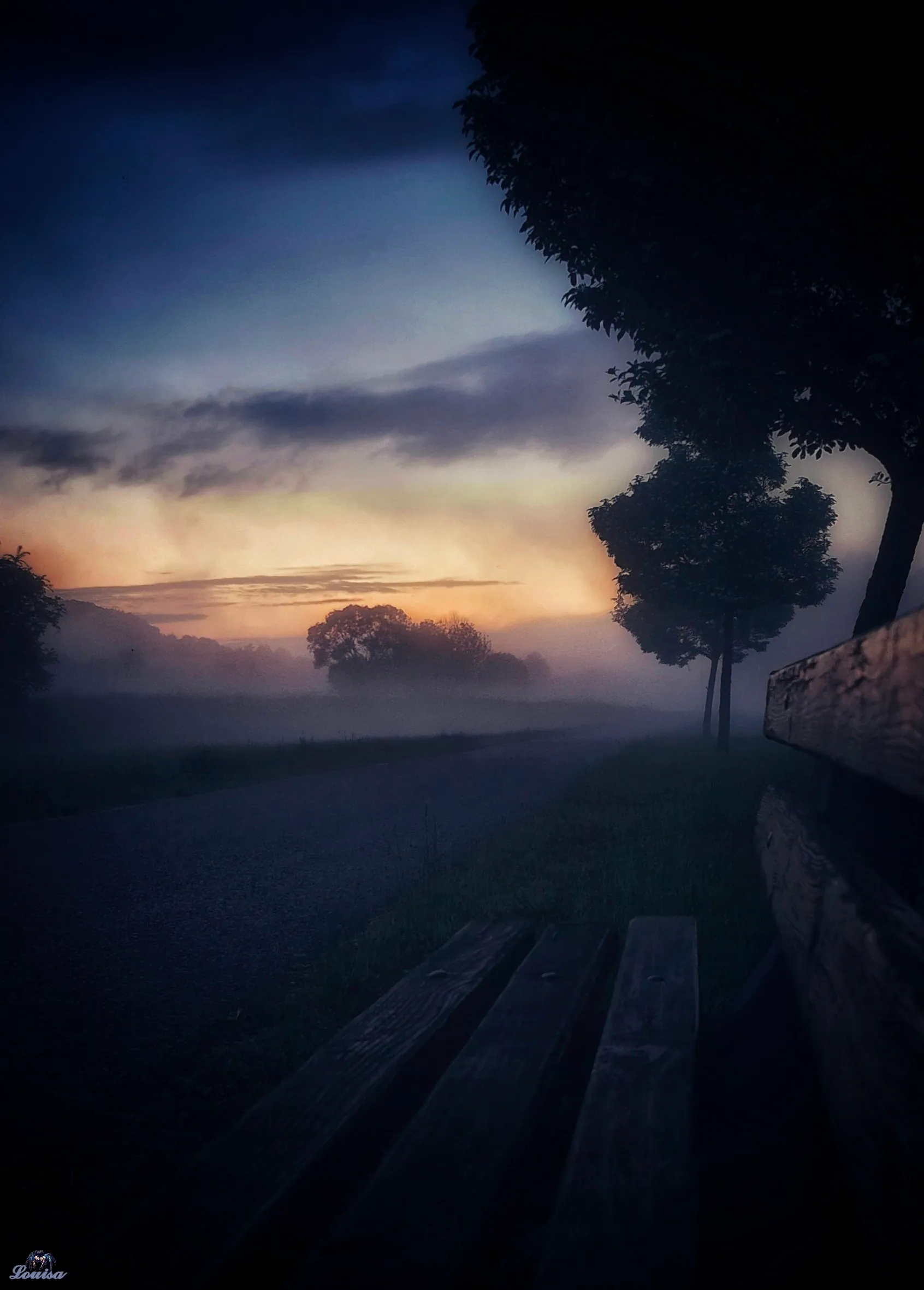 Nebel und Abendrot