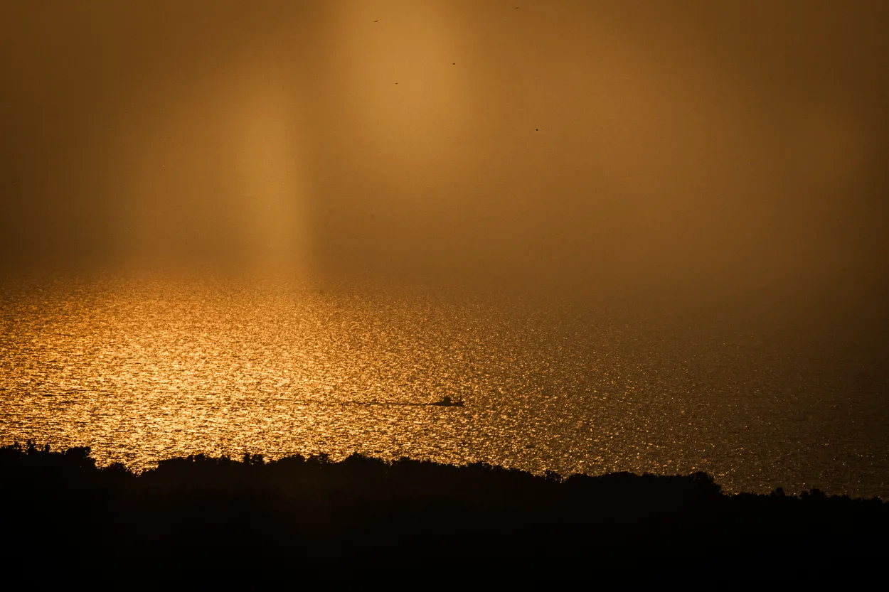 Entry 24410047