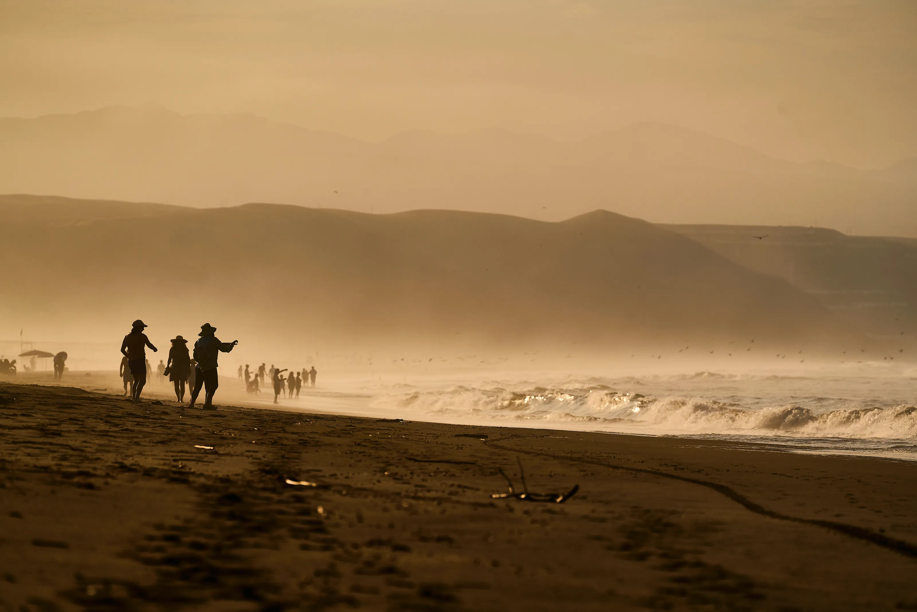 Whispers of the Tide