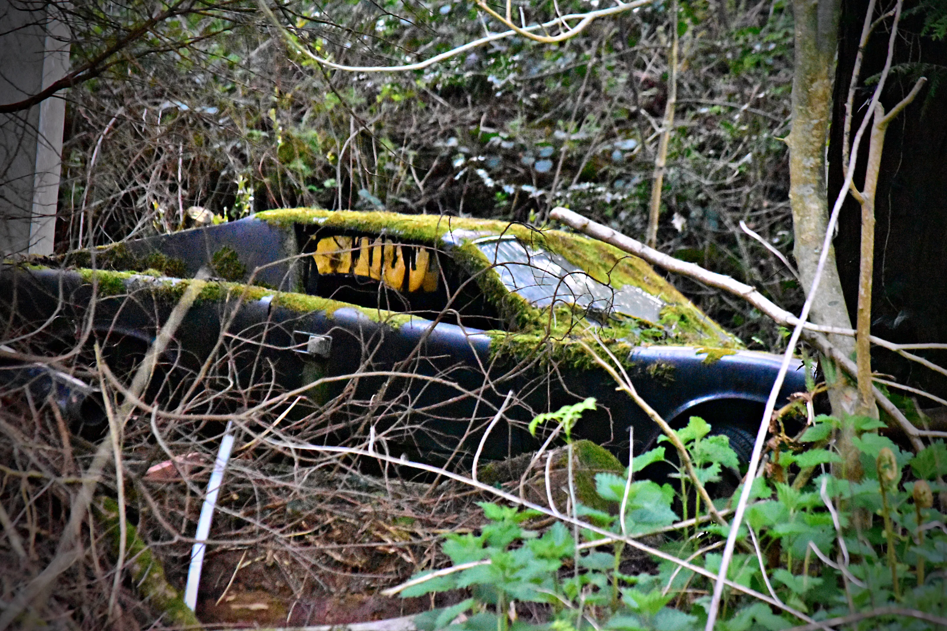 the shell of a car