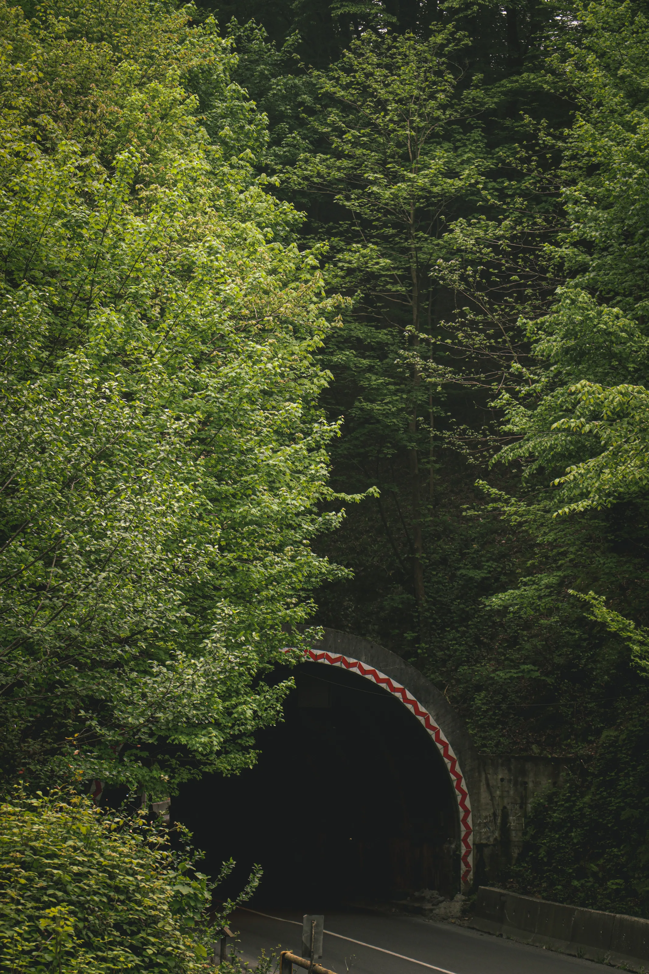 Maybe it is the best shot of nature that you see today.
