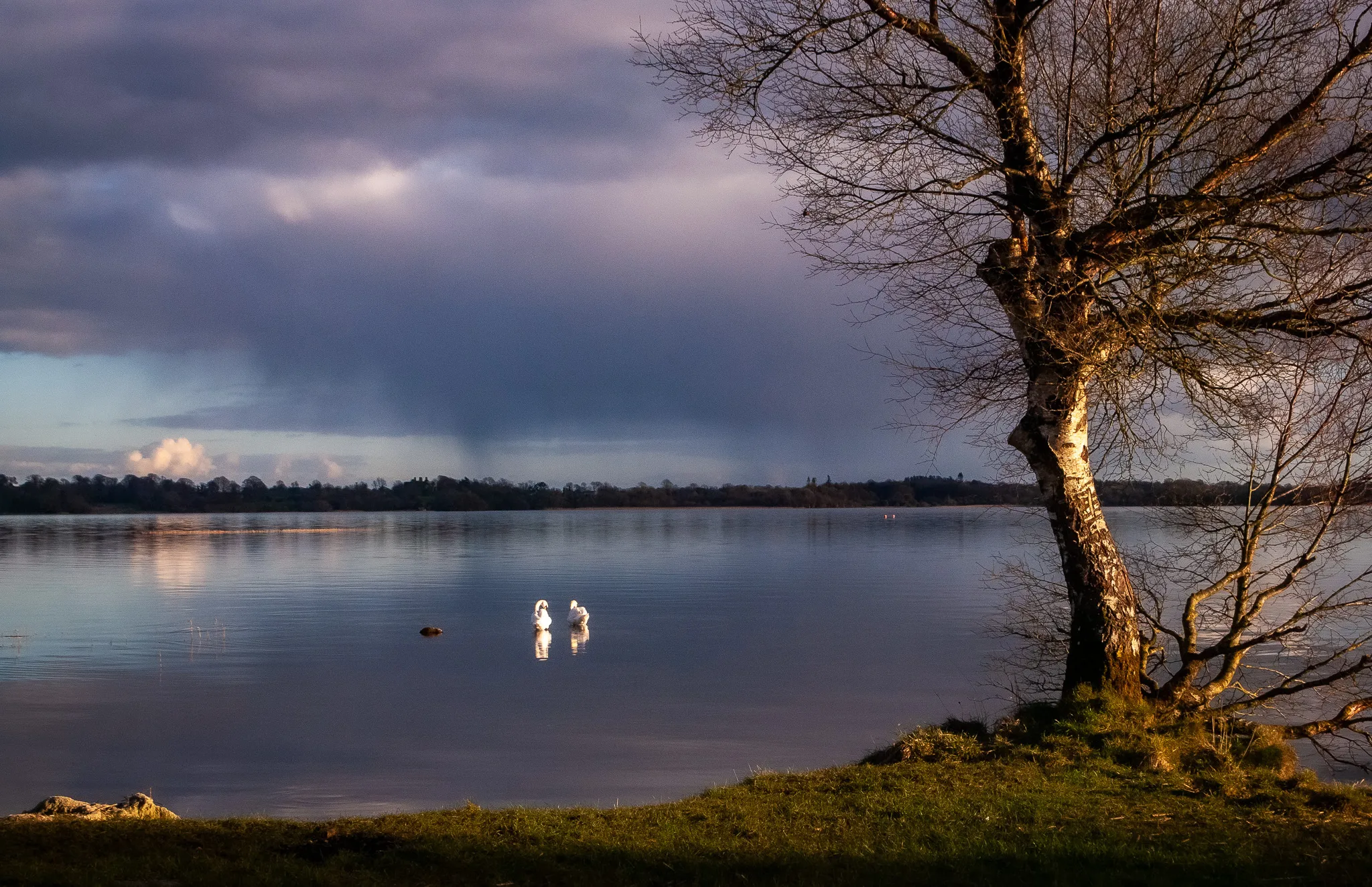 Evening on Lough Ennel