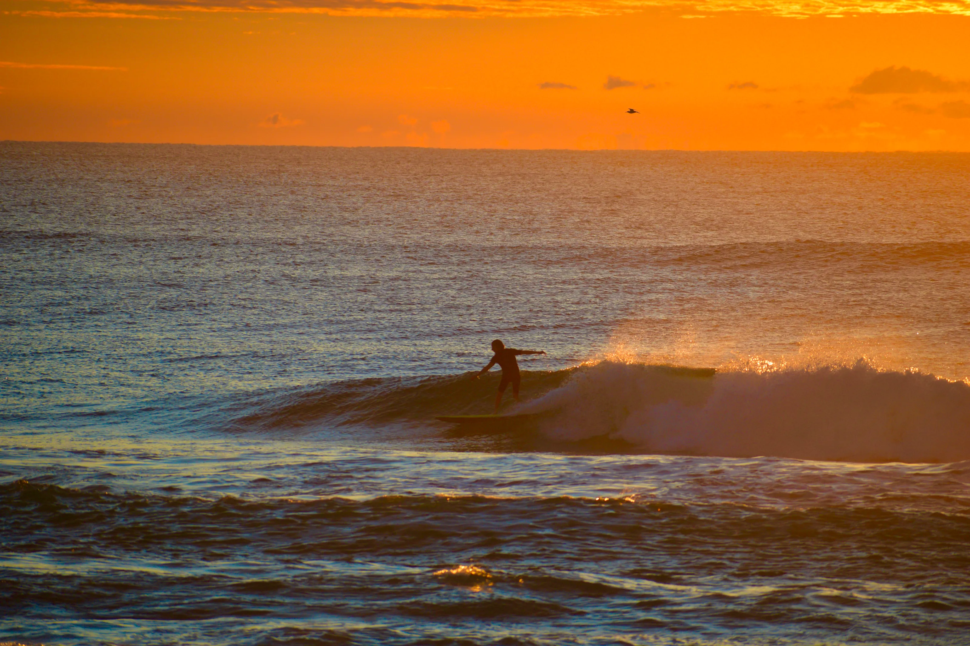 Sunrise Surf