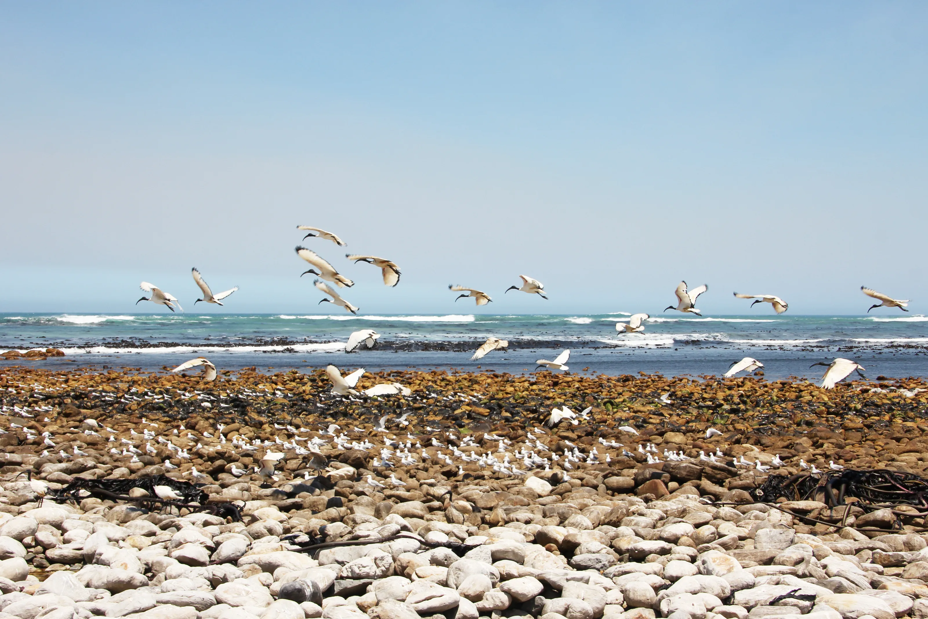 Rocky shoreline