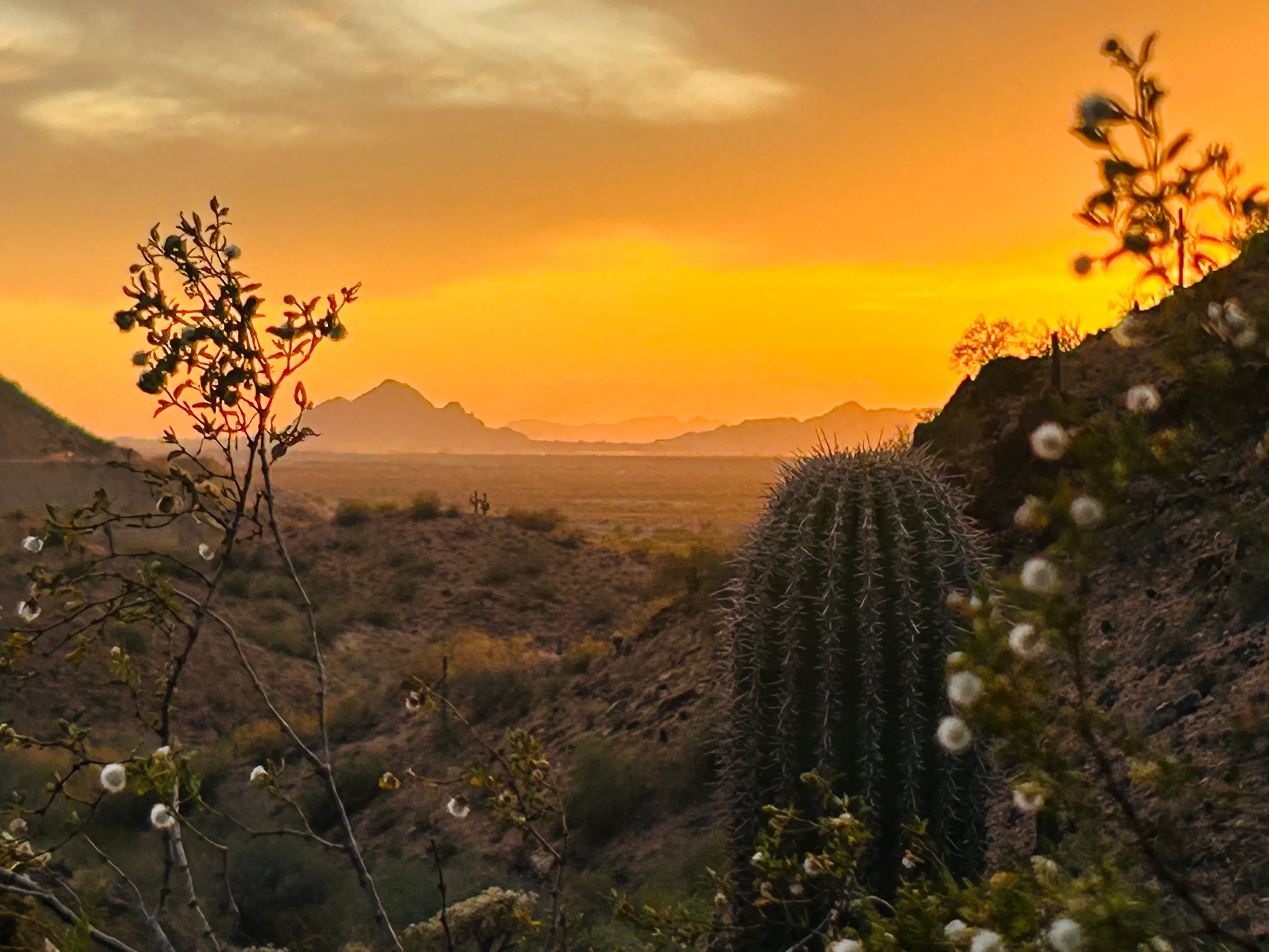#arizona #sunset #mountain #southwest #mountainlandscape #hiking #tontonationalforest