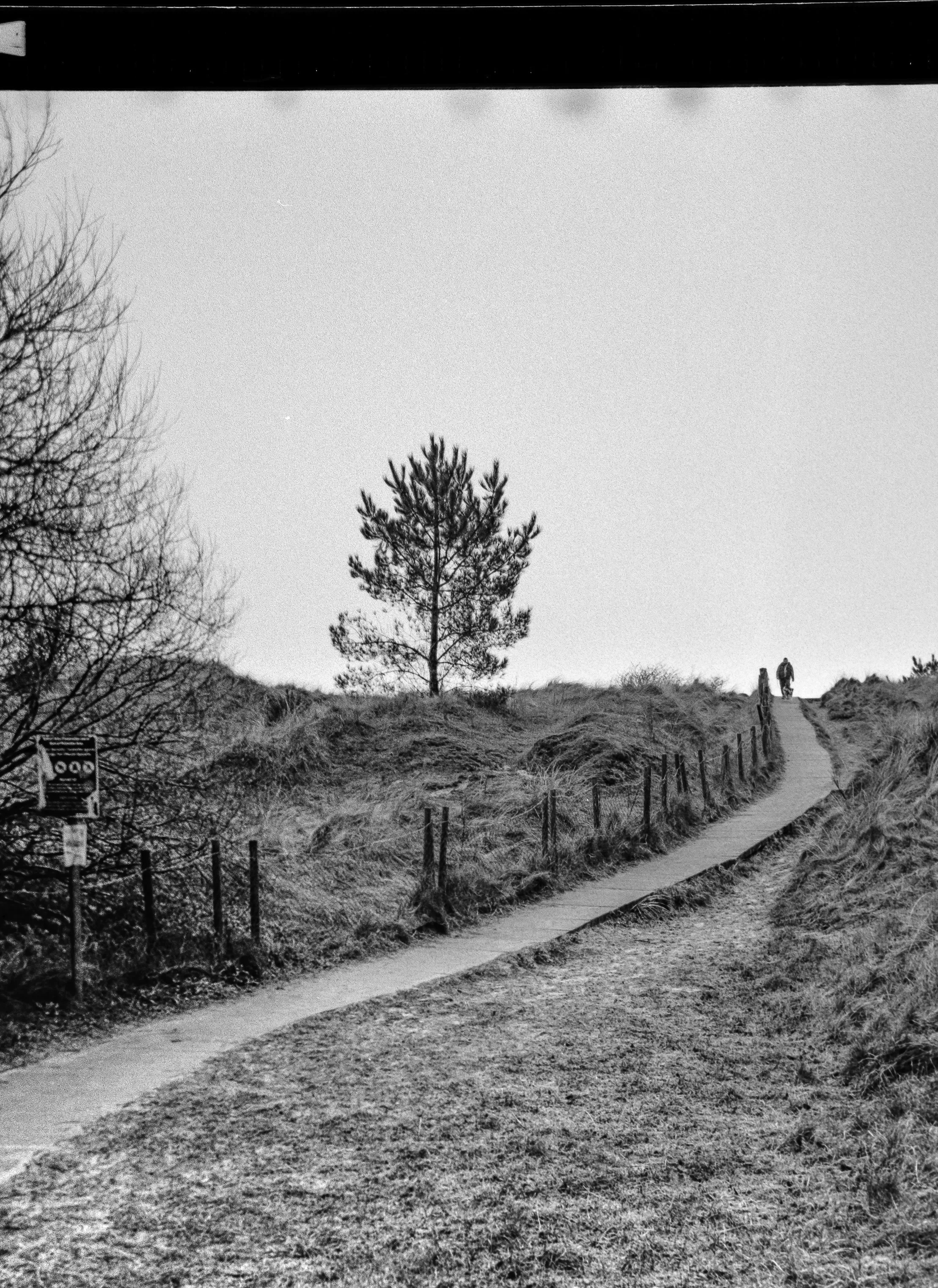 Real Life in Monochrome