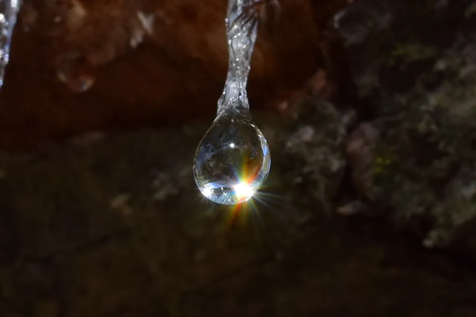 Drop of sunshine