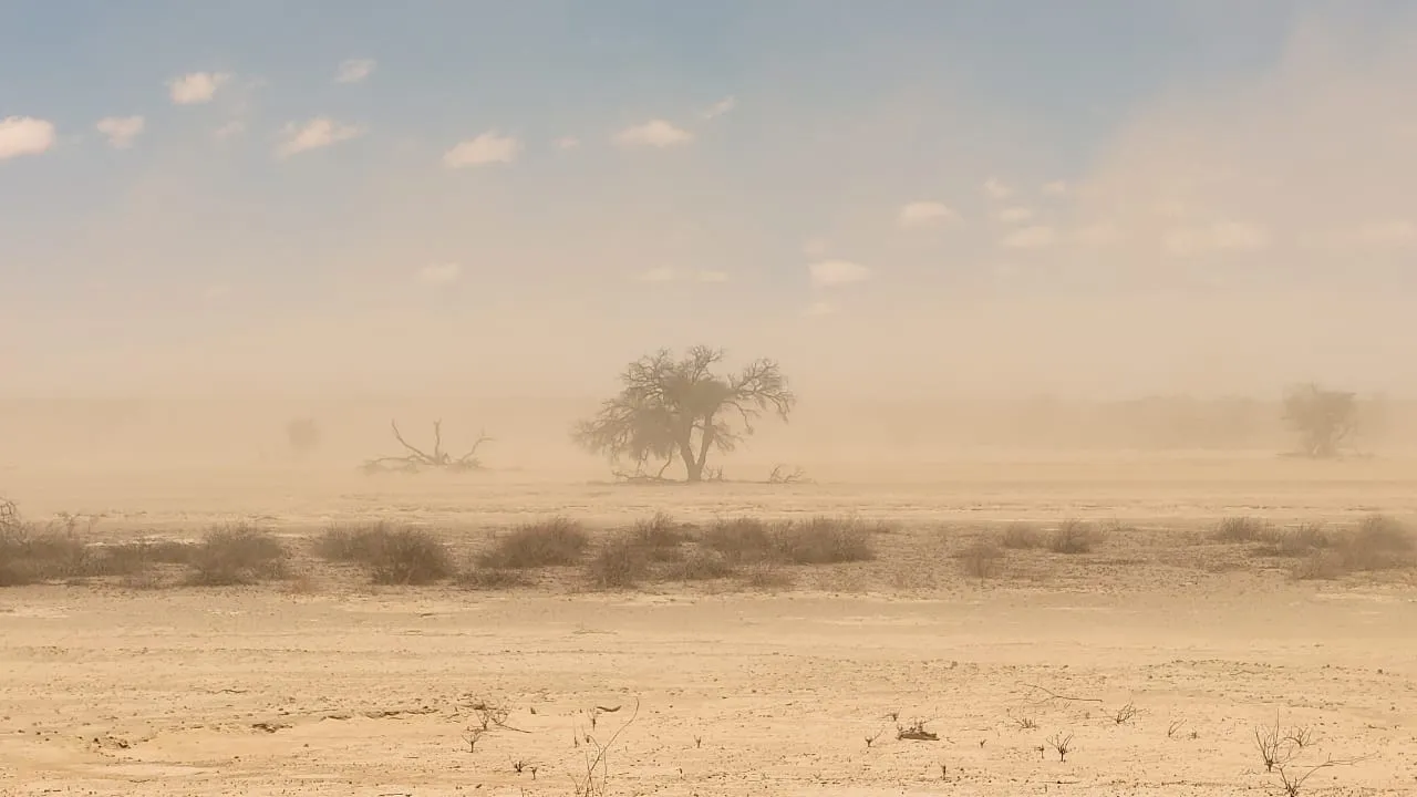 Dusty Kalahari desert