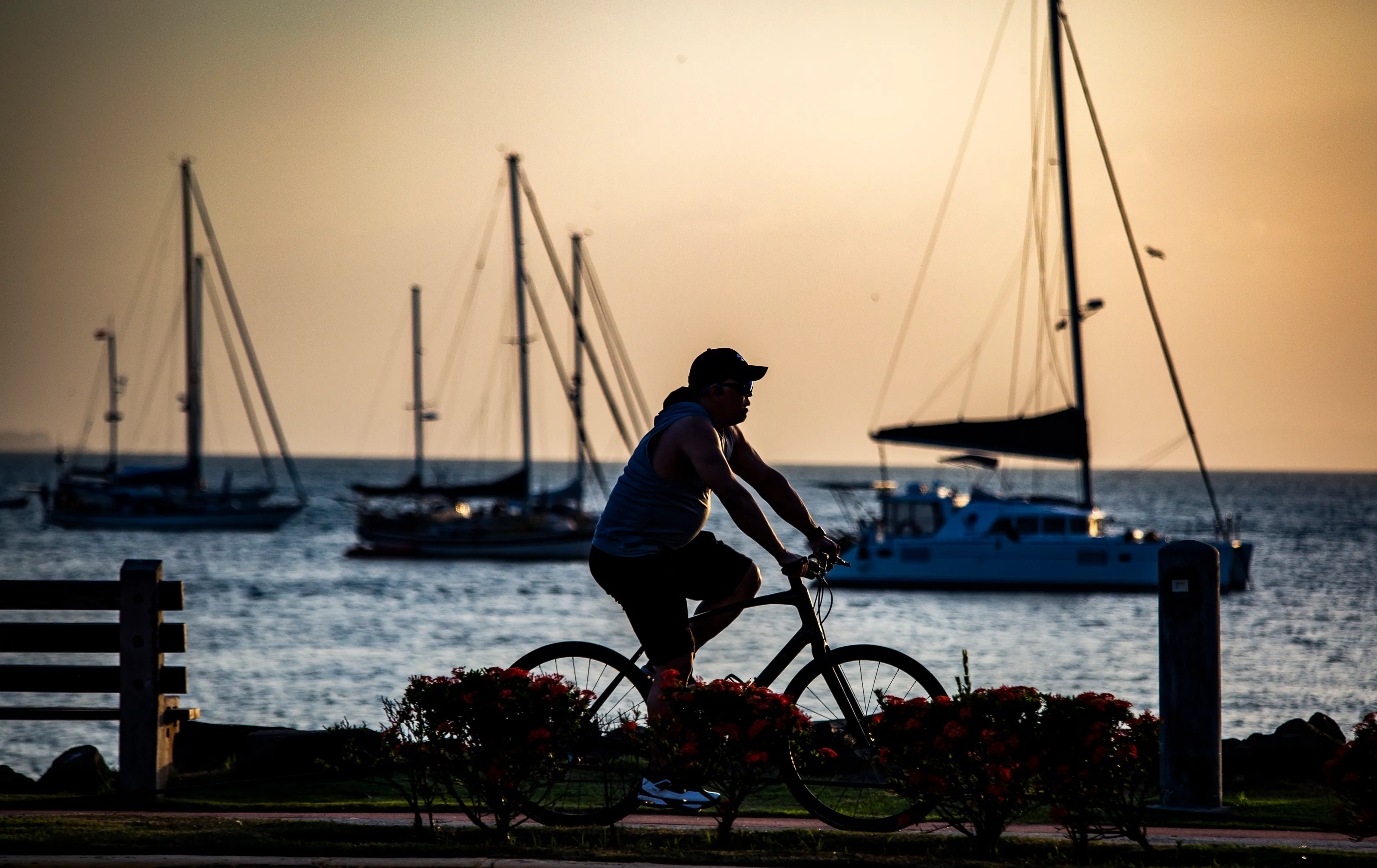 Man with a bike in Cinta Costera