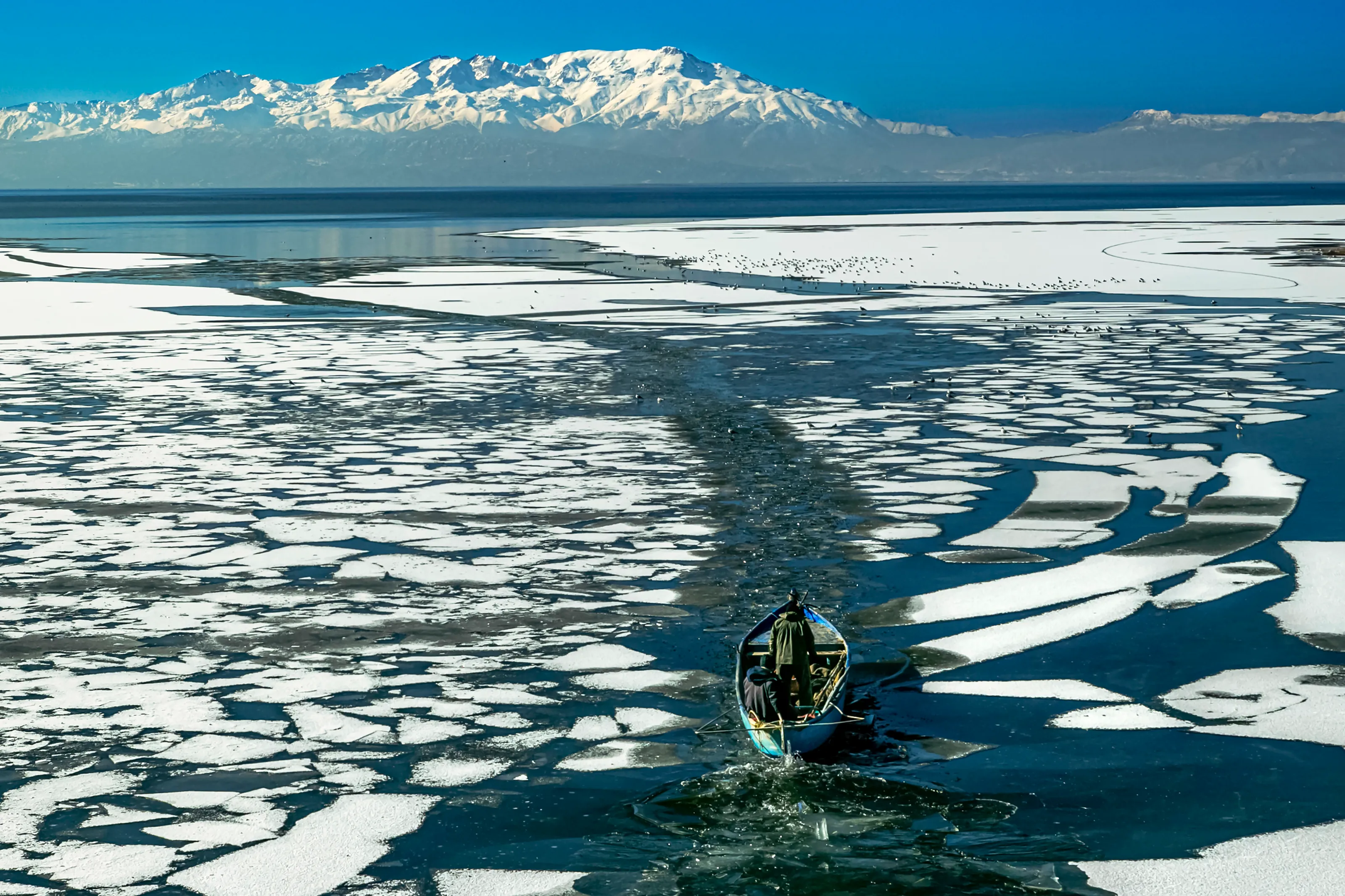 towards the unknown