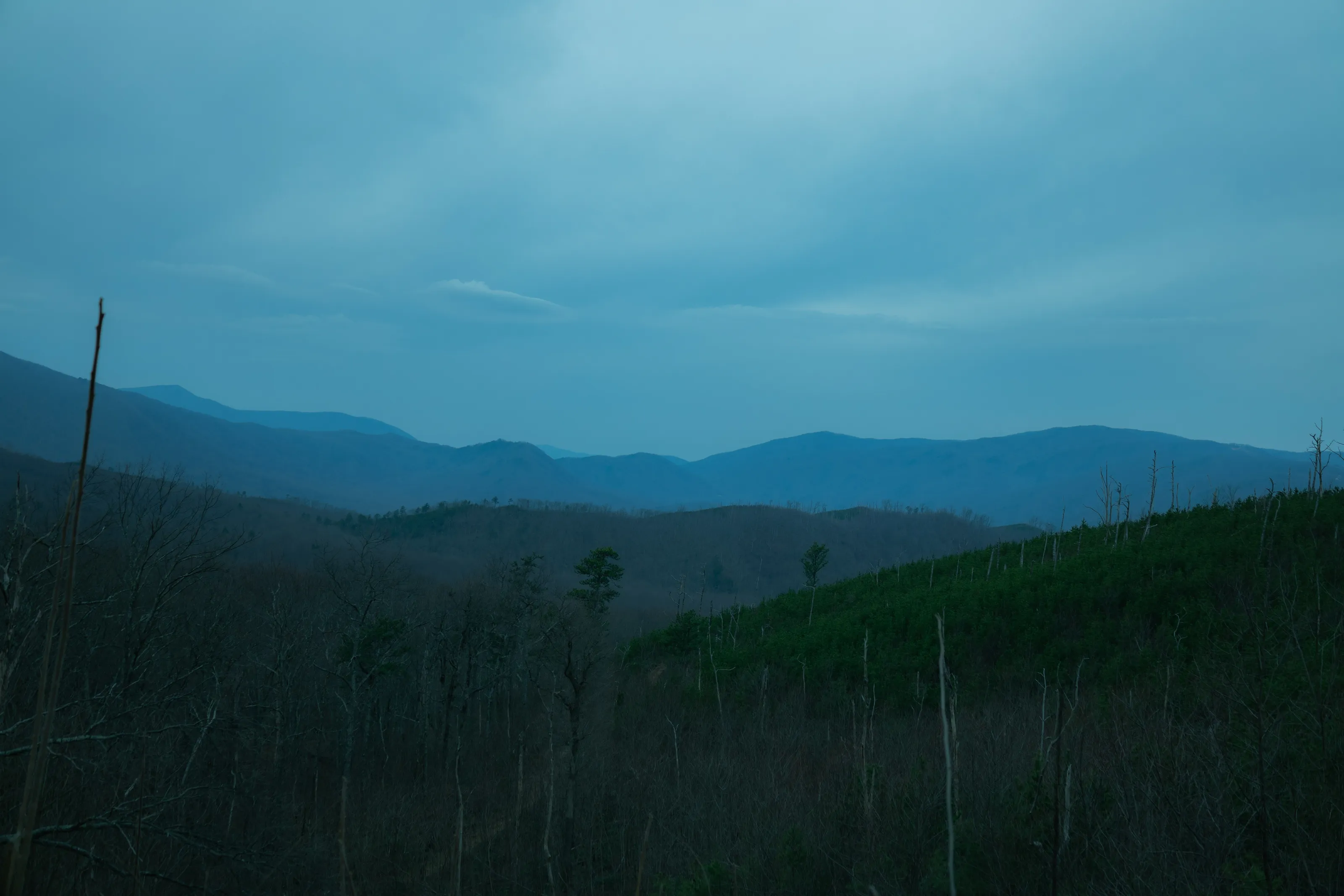 Smokey Mountain