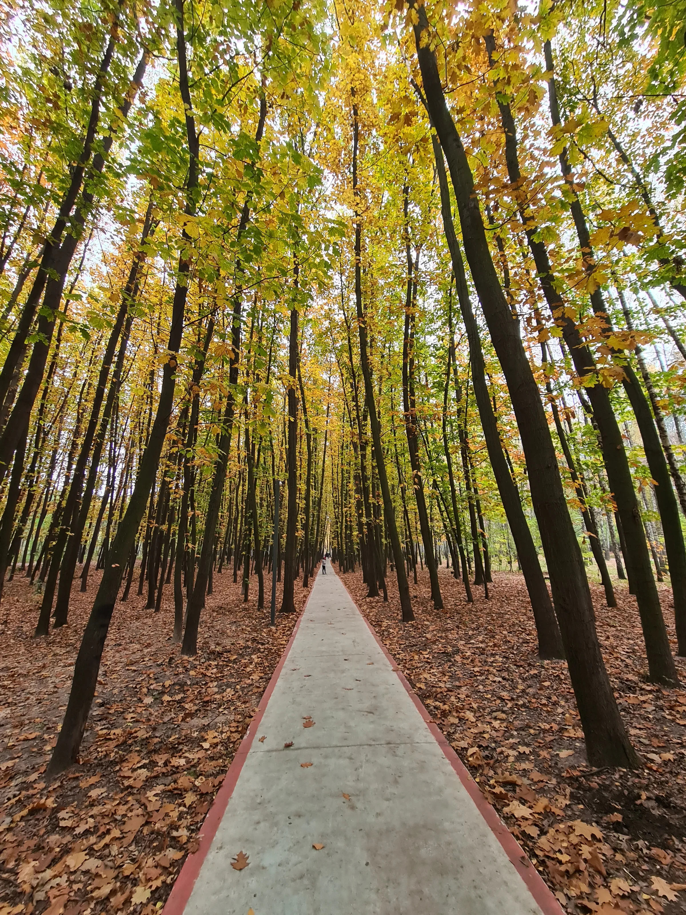 kiev park