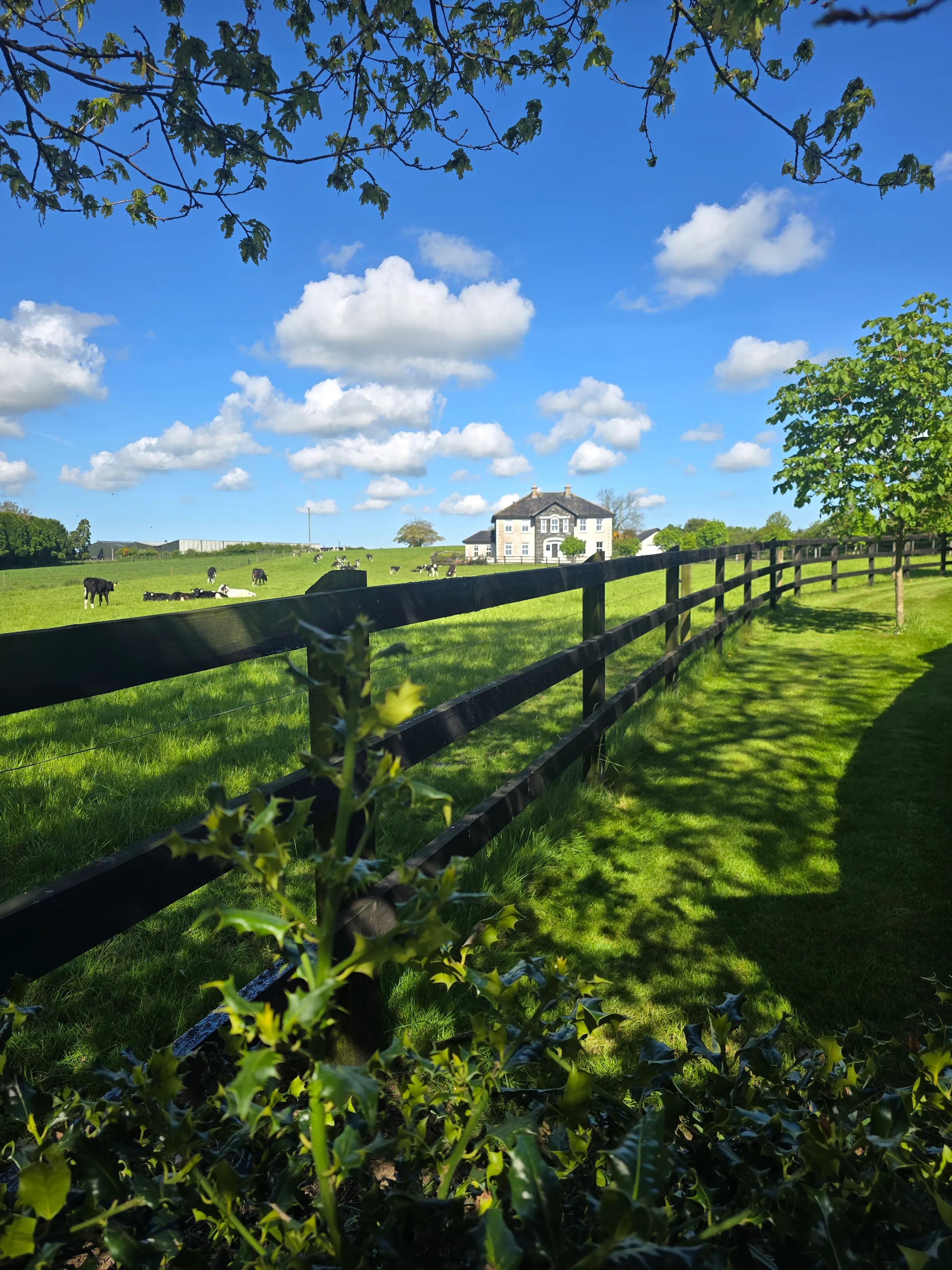 Beautiful Ireland