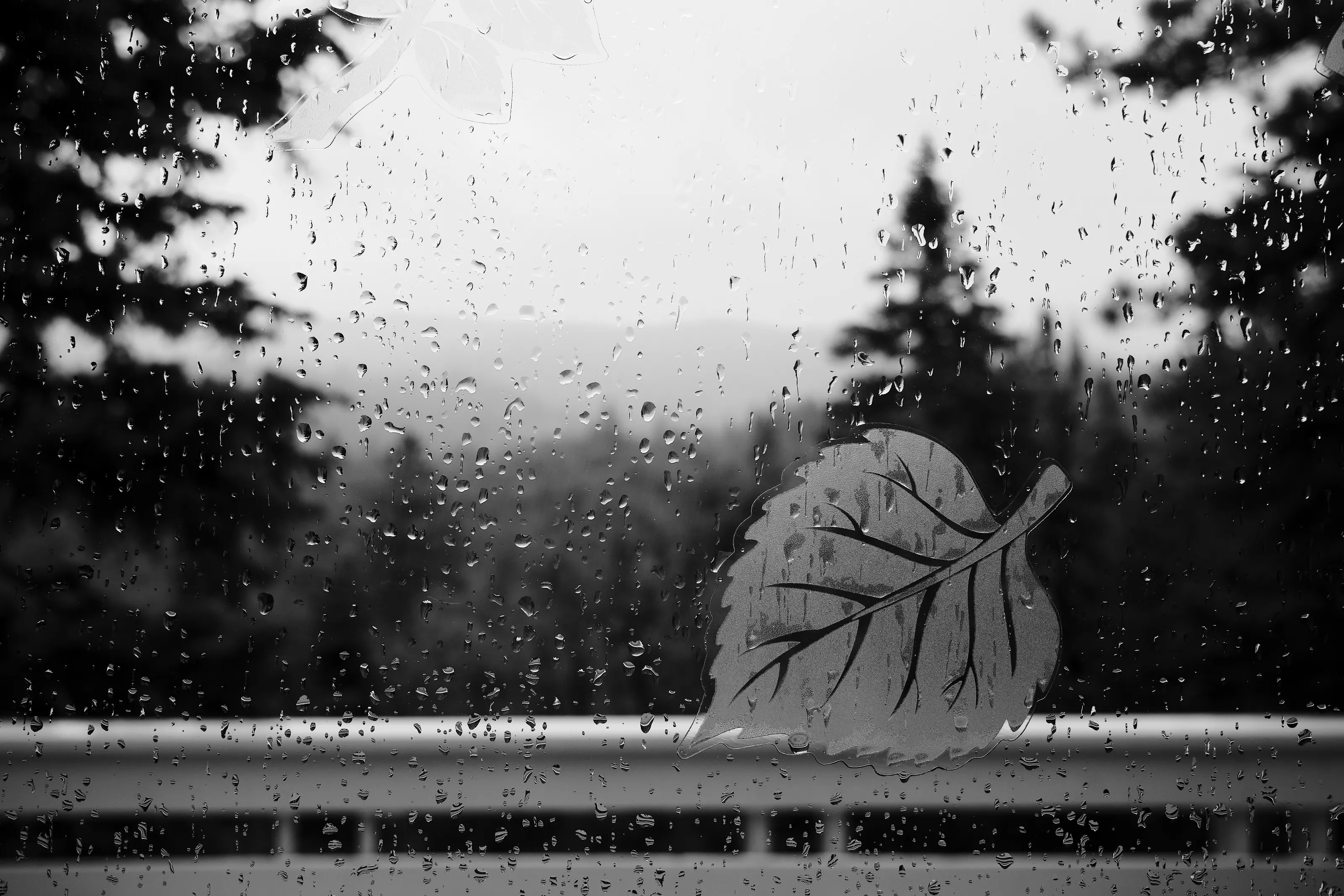 Rainy days