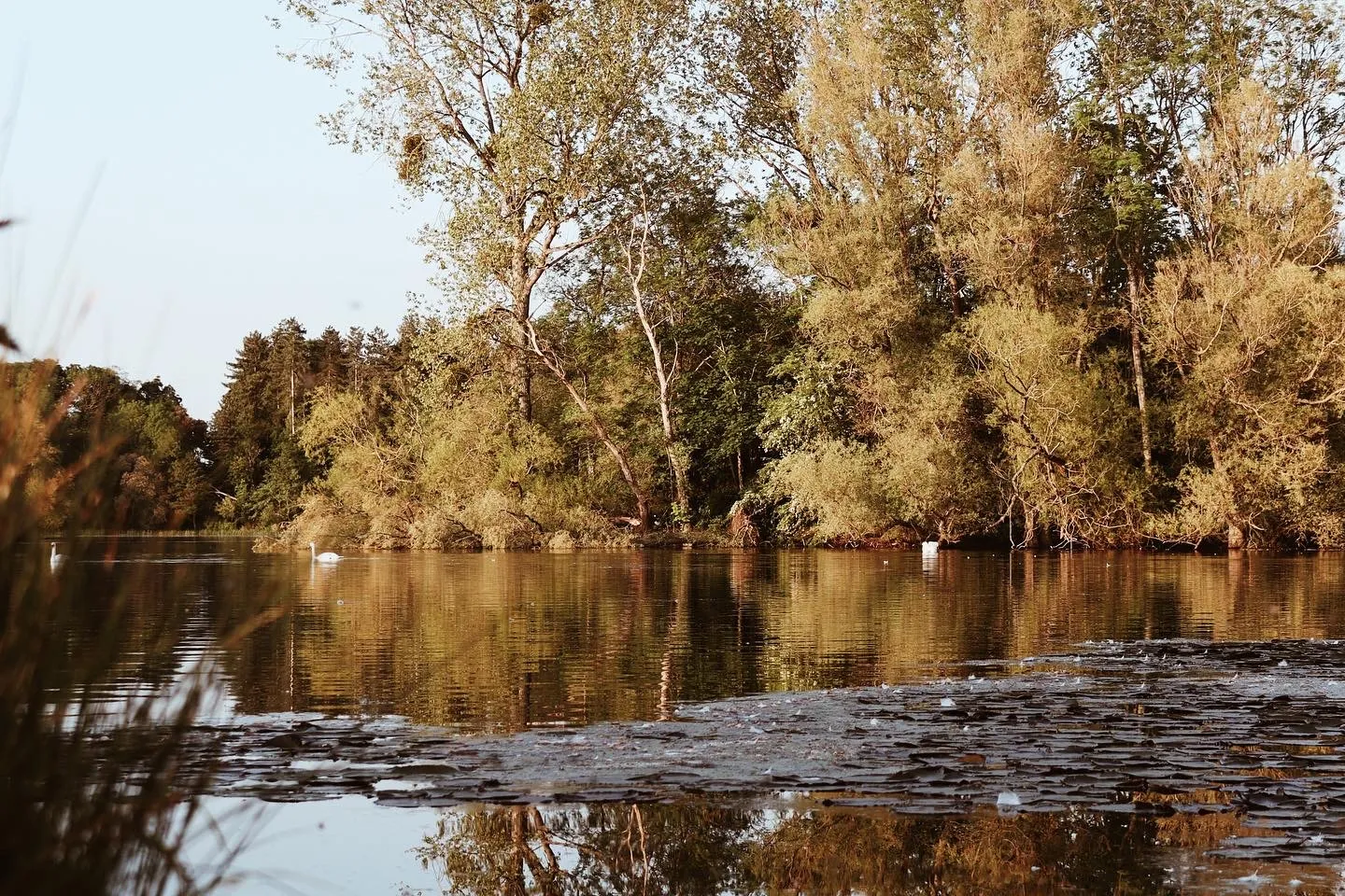 Luring Lake
